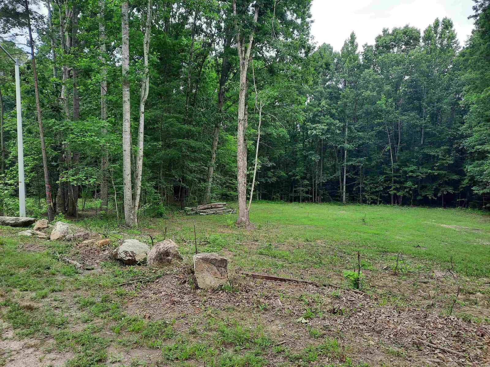 A tranquil forest clearing with scattered boulders and a mix of young and mature trees under an overcast sky.