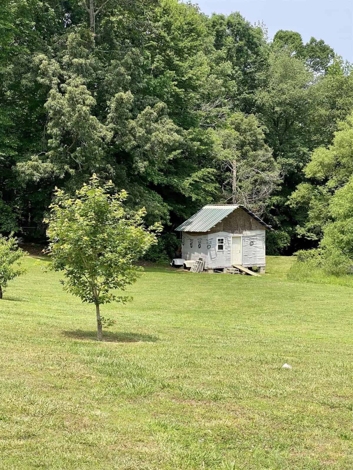 A small, rustic wooden shed with a metal roof sits in a grassy clearing surrounded by trees. A young tree stands in the foreground. The scene is peaceful and lush, with dense green foliage in the background.