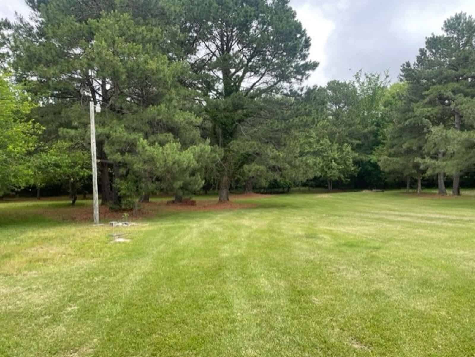 A green, grassy clearing surrounded by trees with overcast skies above.