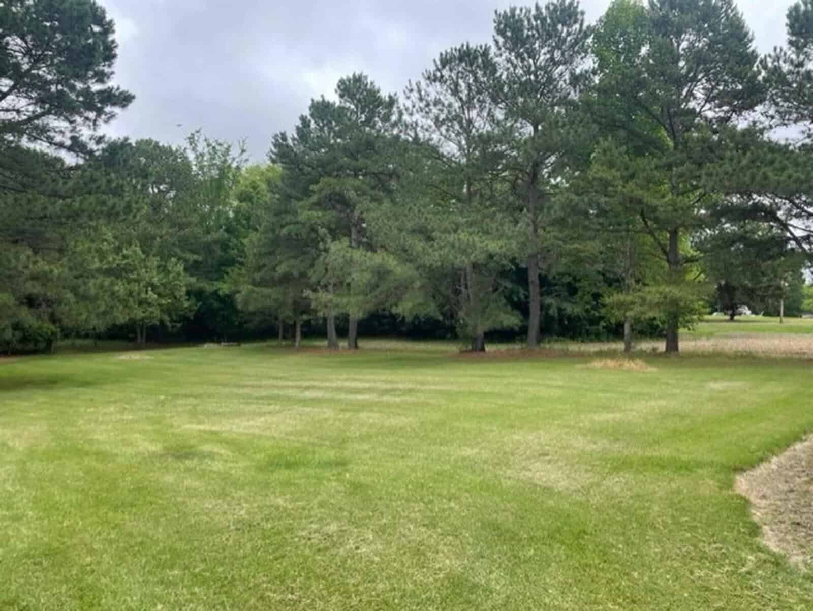 A grassy field bordered by various trees under an overcast sky.