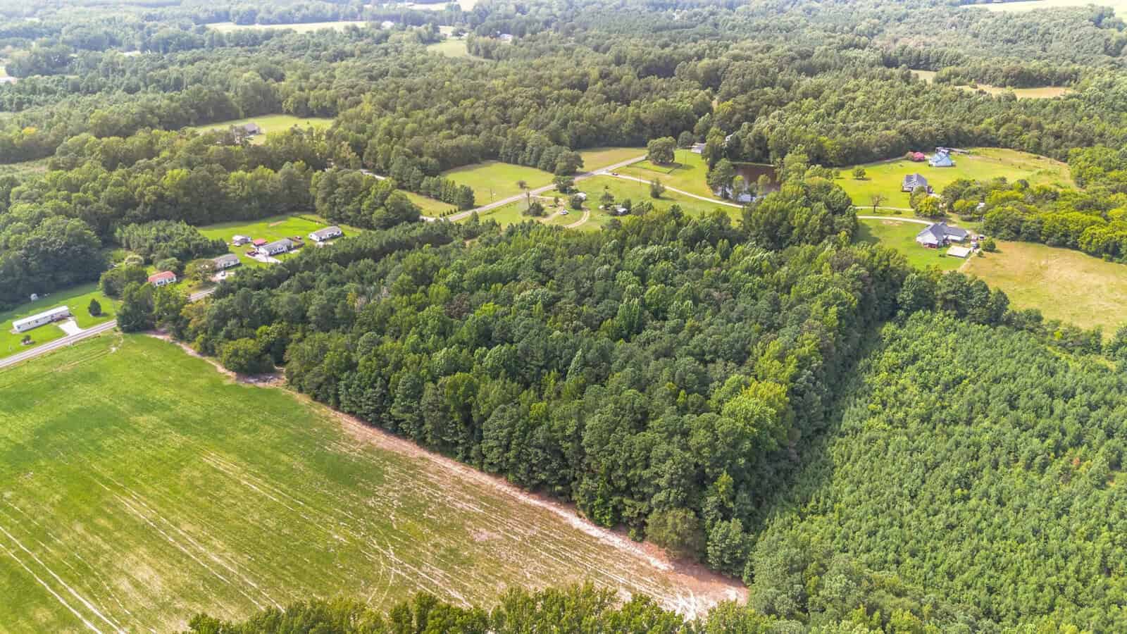 Aerial view of a rural landscape with dense green forests, open fields, scattered houses, and winding roads surrounded by trees and farmland.