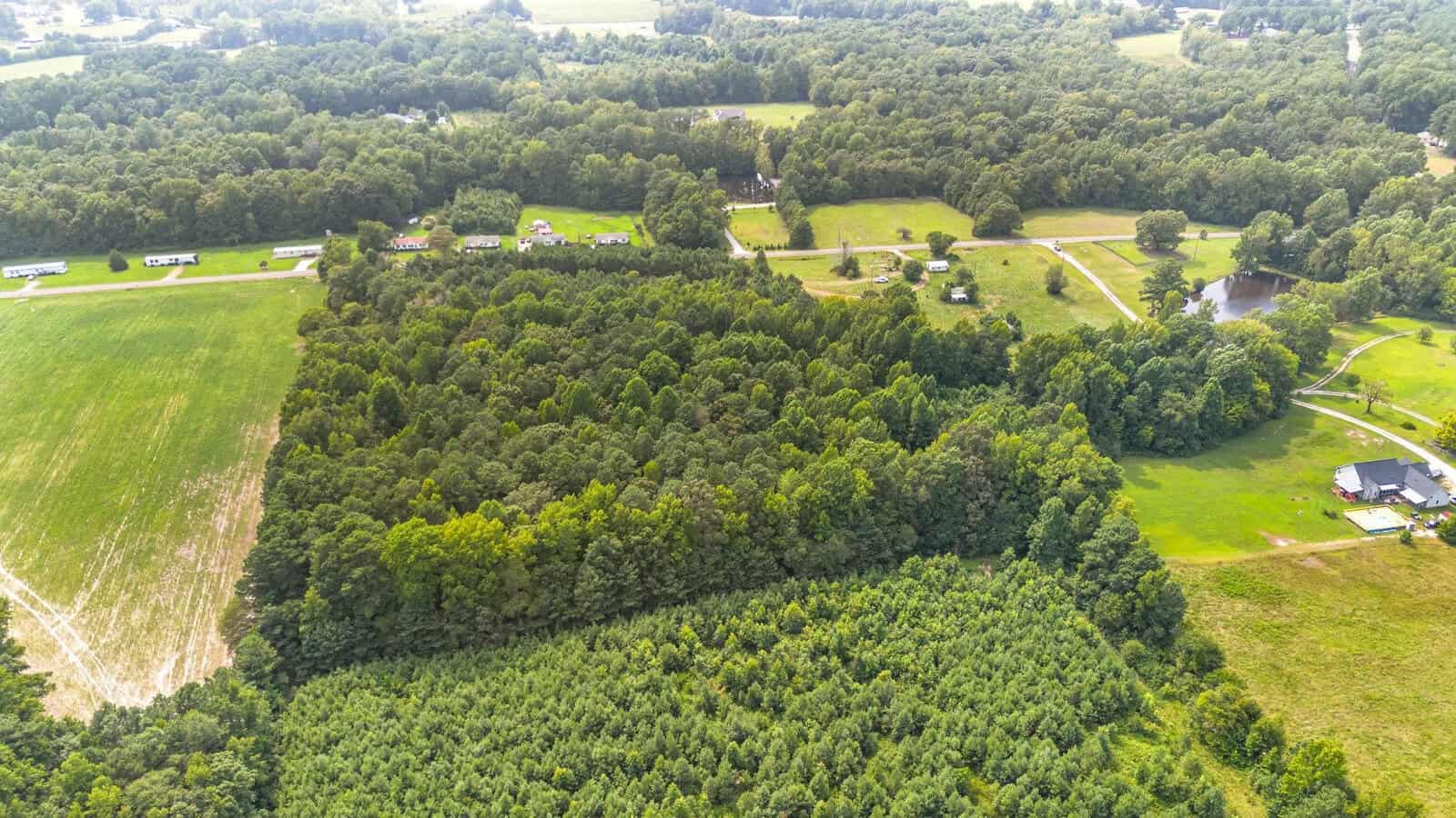 Aerial view of a green, forested area surrounded by fields, scattered houses, roads, and a pond, with more trees and open land visible in the distance.