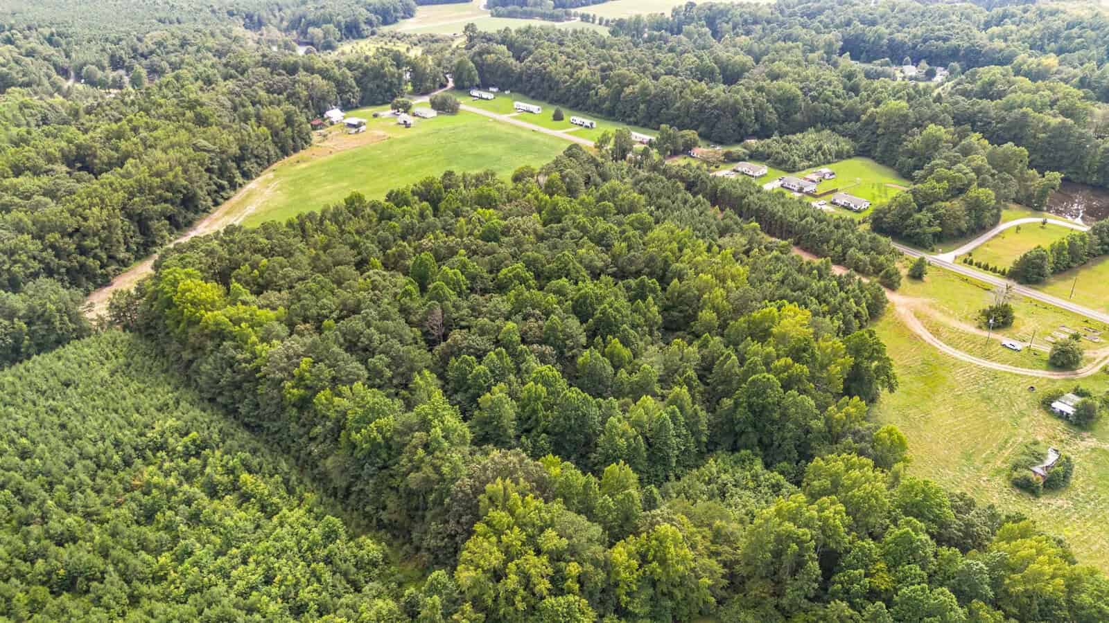 Aerial view of a lush, green forest surrounded by open grassy fields and scattered houses, with winding roads and more trees in the background.