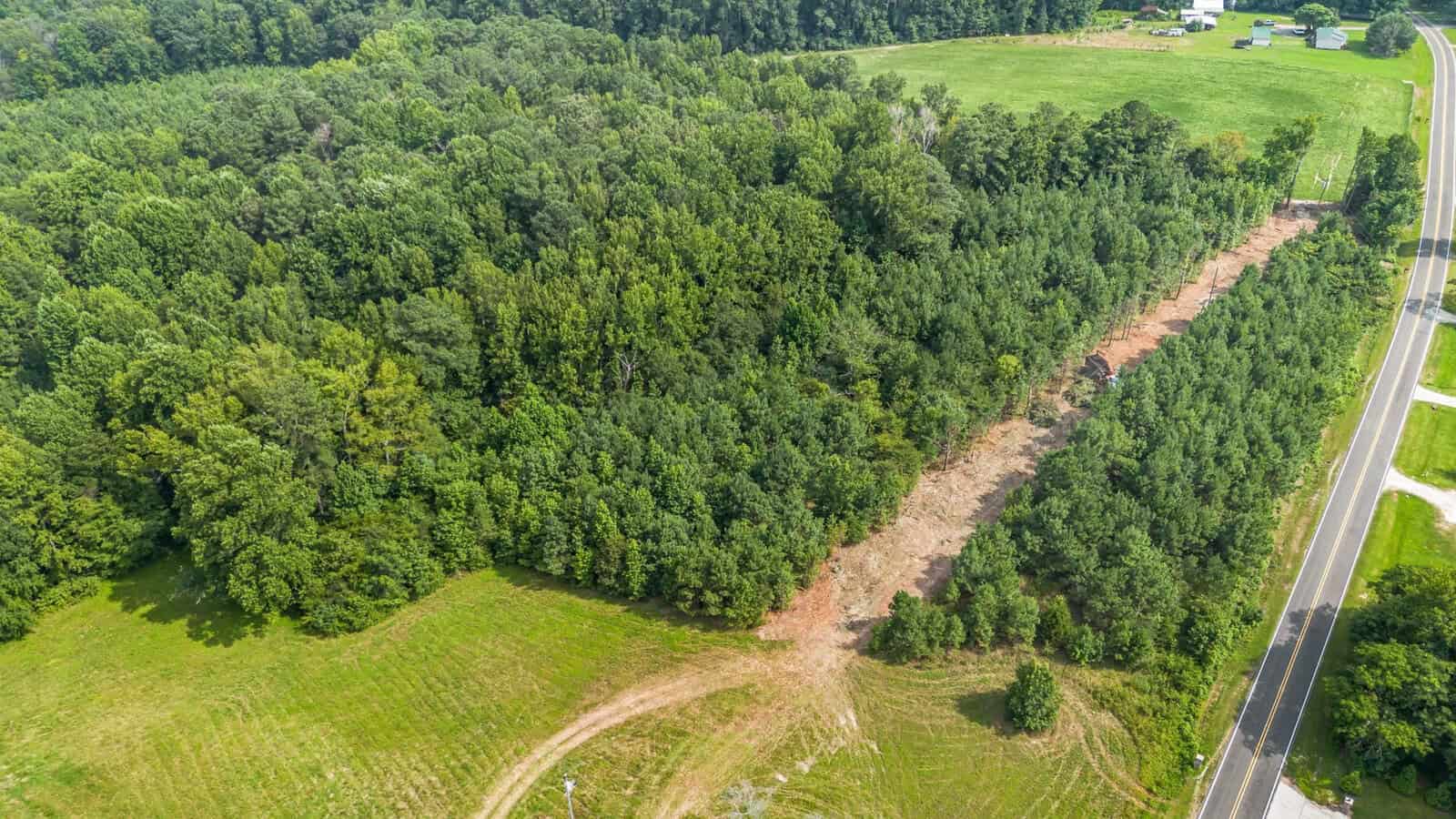 Aerial view of a cleared dirt path cutting through a dense green forest, with open grassy fields and a paved road running alongside the trees.