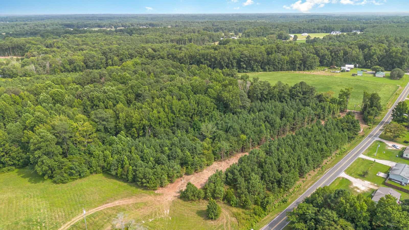 Aerial view of a rural landscape with dense green forest, open grassy fields, scattered houses, and a winding road running alongside the trees under a blue sky with clouds.