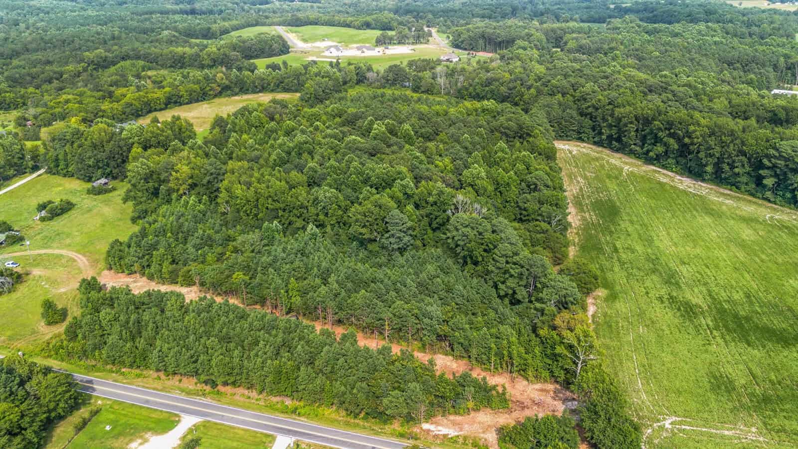Aerial view of a green, tree-filled wooded area bordered by a road and open grassy fields, with scattered houses and forested hills in the background.