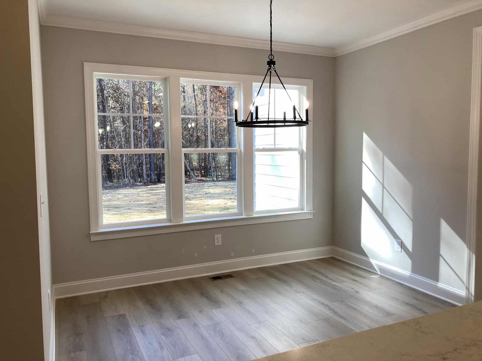 A bright, unfurnished room with light gray walls and wood flooring. Large windows on the left let in natural light, casting shadows. A black, modern chandelier hangs from the ceiling. Outside, trees and grass are visible.
