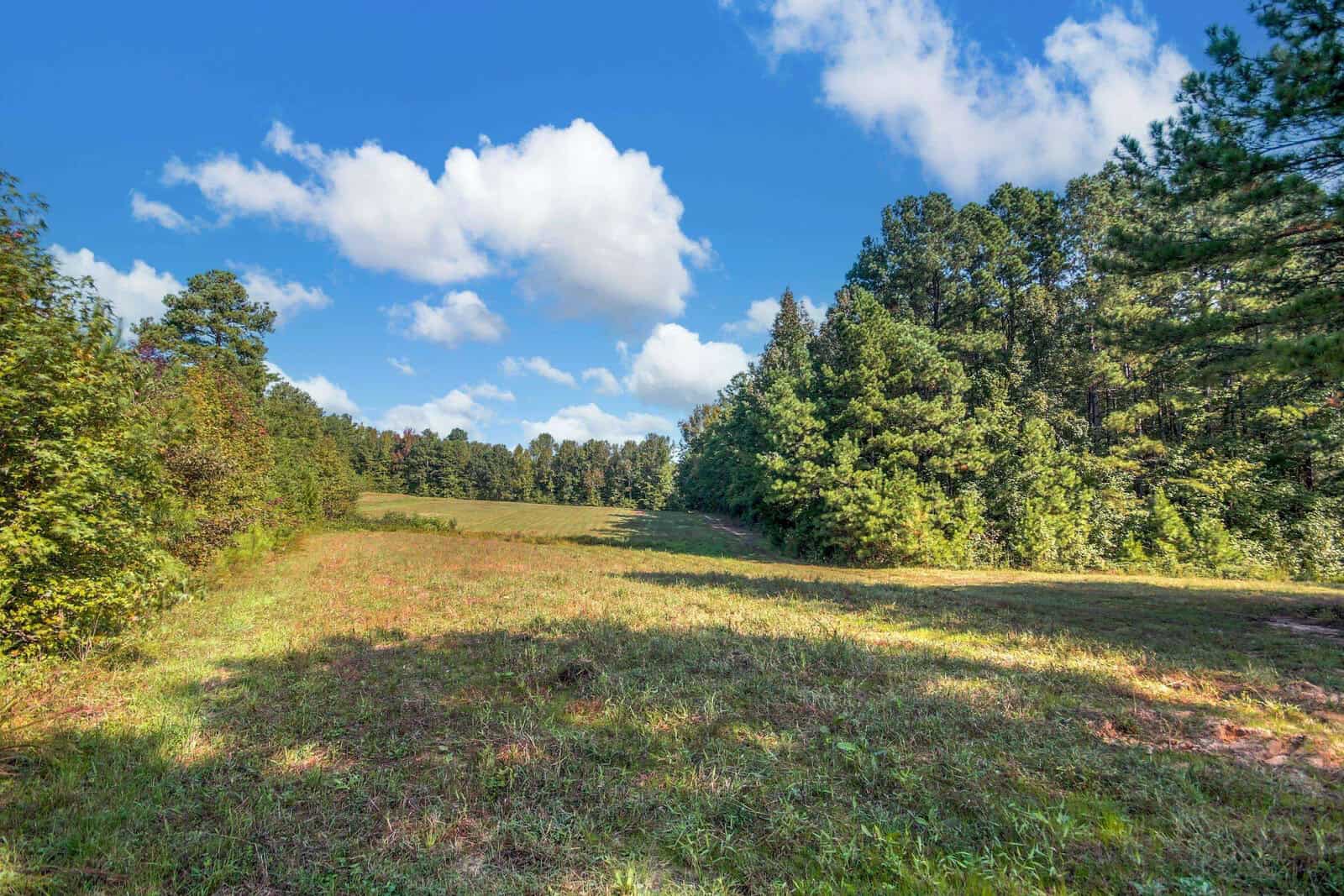 A grassy clearing in a forest with trees lining both sides and a blue sky filled with scattered white clouds above. Sunlight casts shadows on the grass, enhancing the contrast between the greenery and the bright sky.