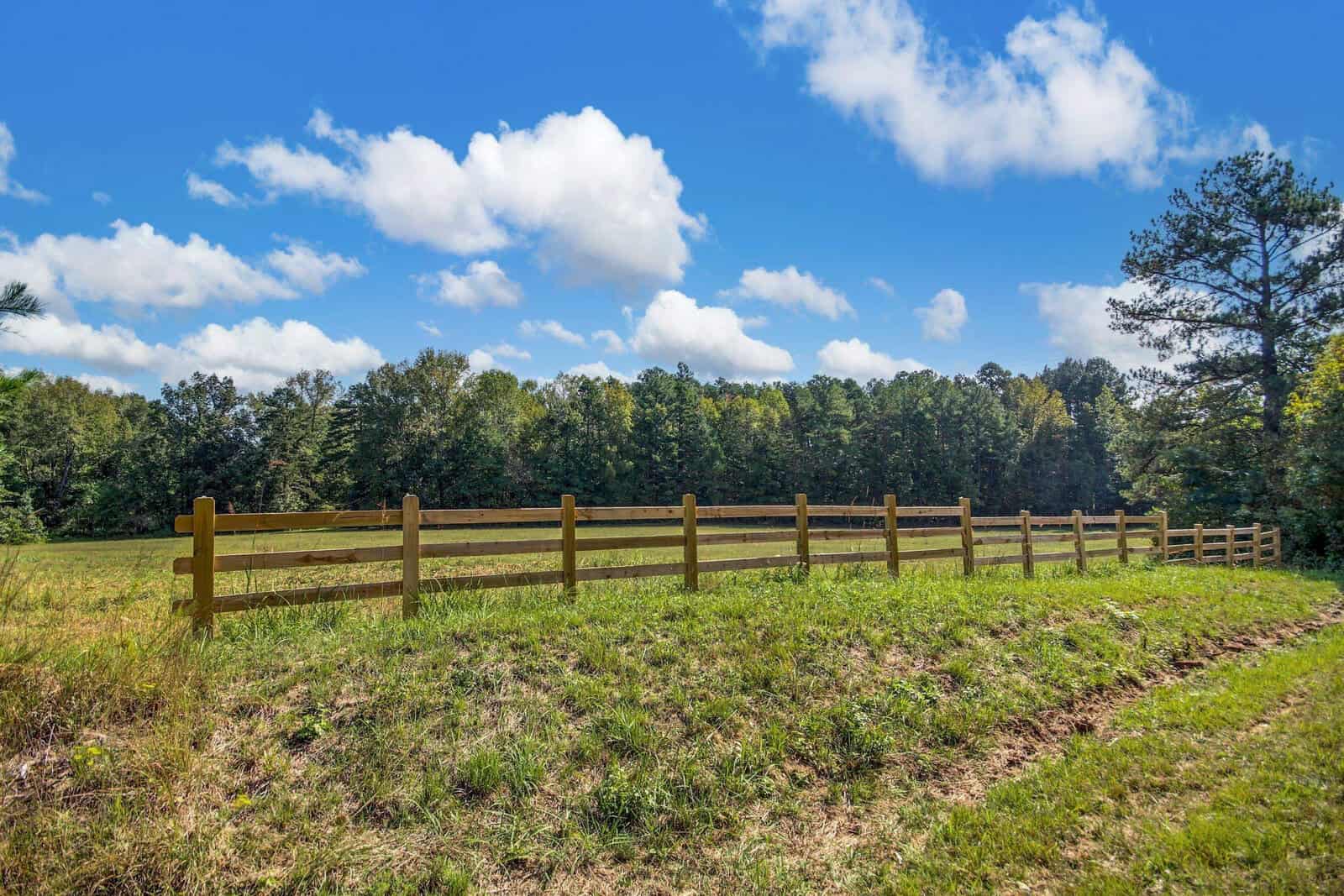 A wooden fence extends across a grassy field under a blue sky with fluffy white clouds. Tall trees form a dense forest in the background, creating a serene and natural landscape.