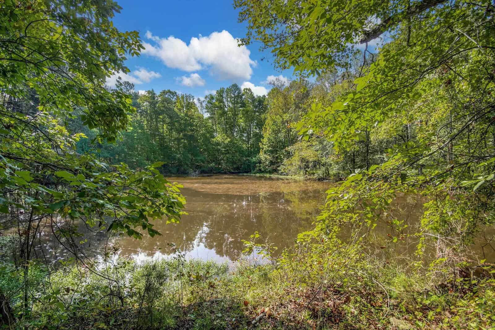 A tranquil woodland pond surrounded by lush green trees and foliage under a blue sky with scattered clouds. The calm water reflects the greenery and sky, creating a peaceful natural scene.