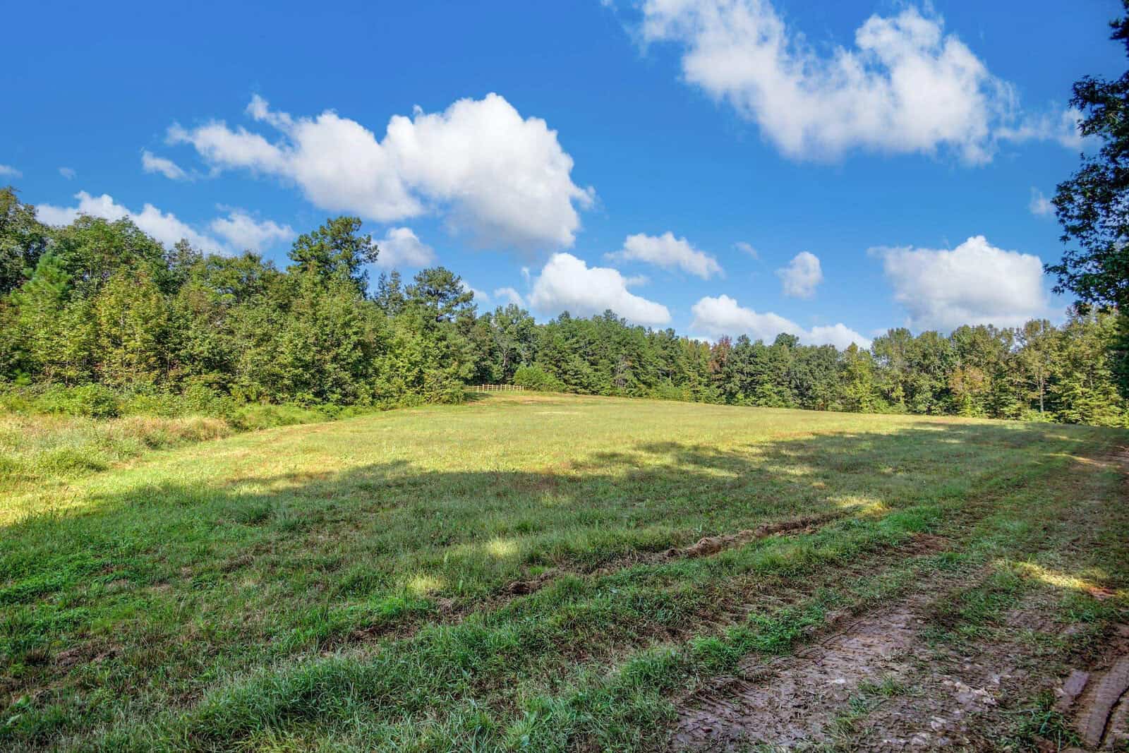 A sunny, open field with green grass and a line of trees at the horizon. Fluffy white clouds dot the bright blue sky, casting soft shadows on the landscape. The path on the right suggests a rural setting.