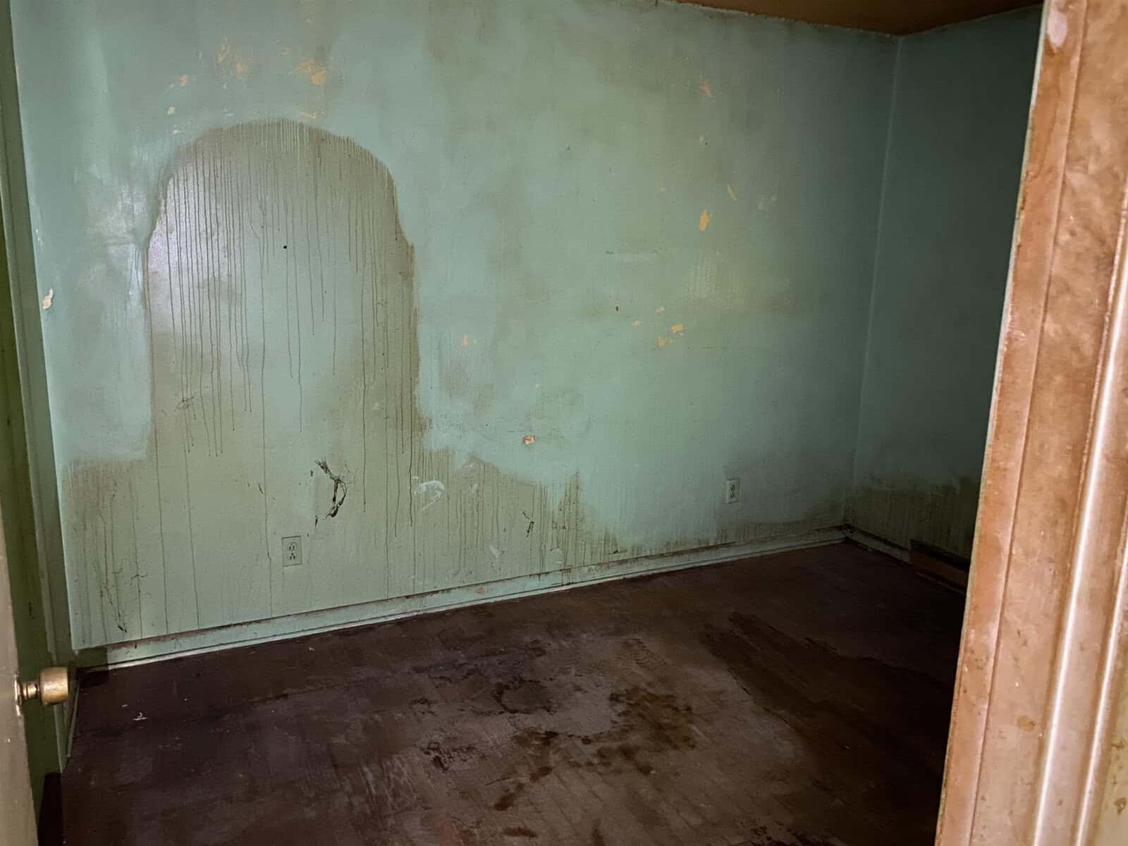 A small, empty room with light green walls and a dark brown, worn-out floor. Stains and discoloration are visible on the walls. There is a wooden door slightly open on the left side of the image.