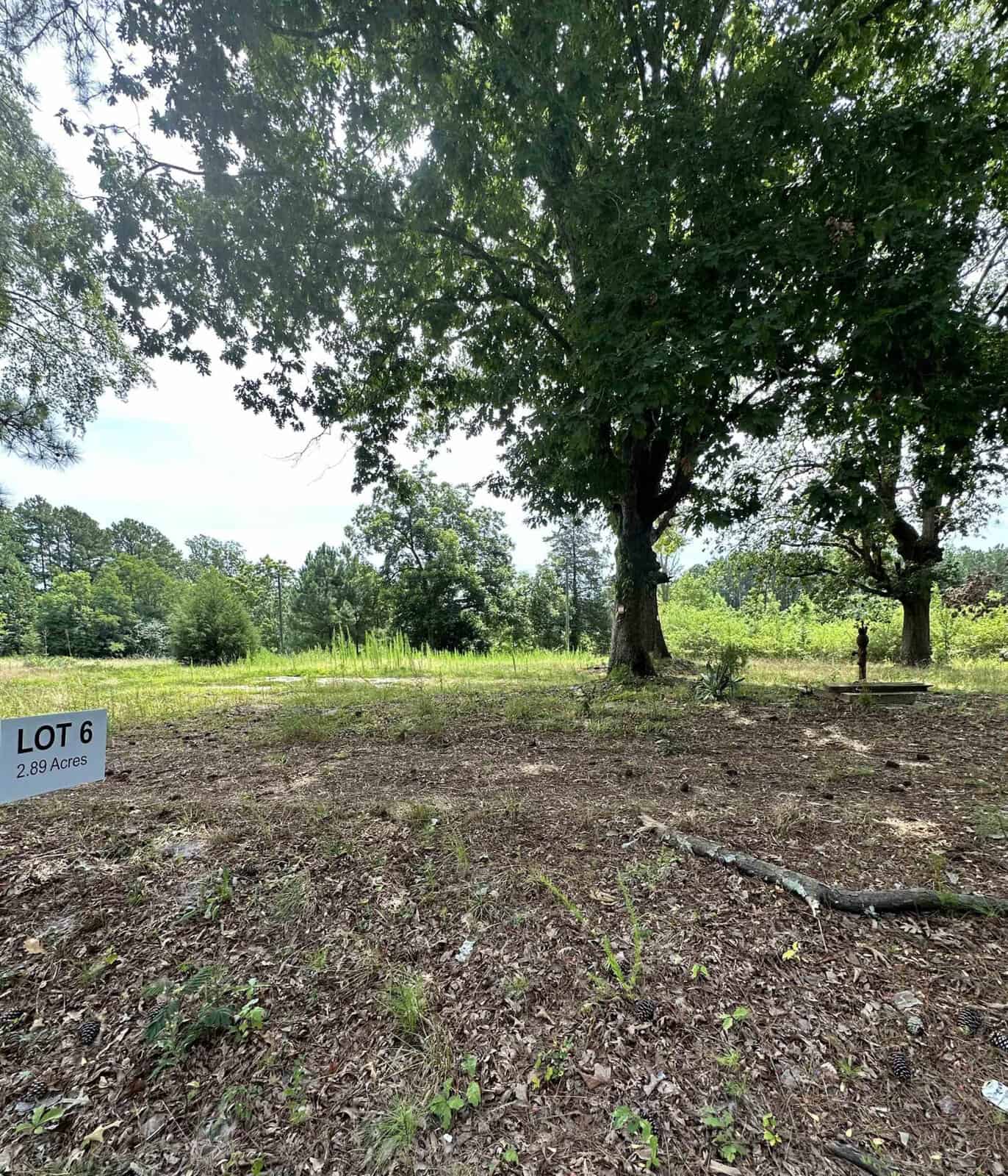A vacant plot of land labeled "Lot 6 - 2.89 Acres" surrounded by trees and greenery. Two large trees are prominent in the center, and the ground is covered with dry leaves and grass. The sky is partially cloudy.