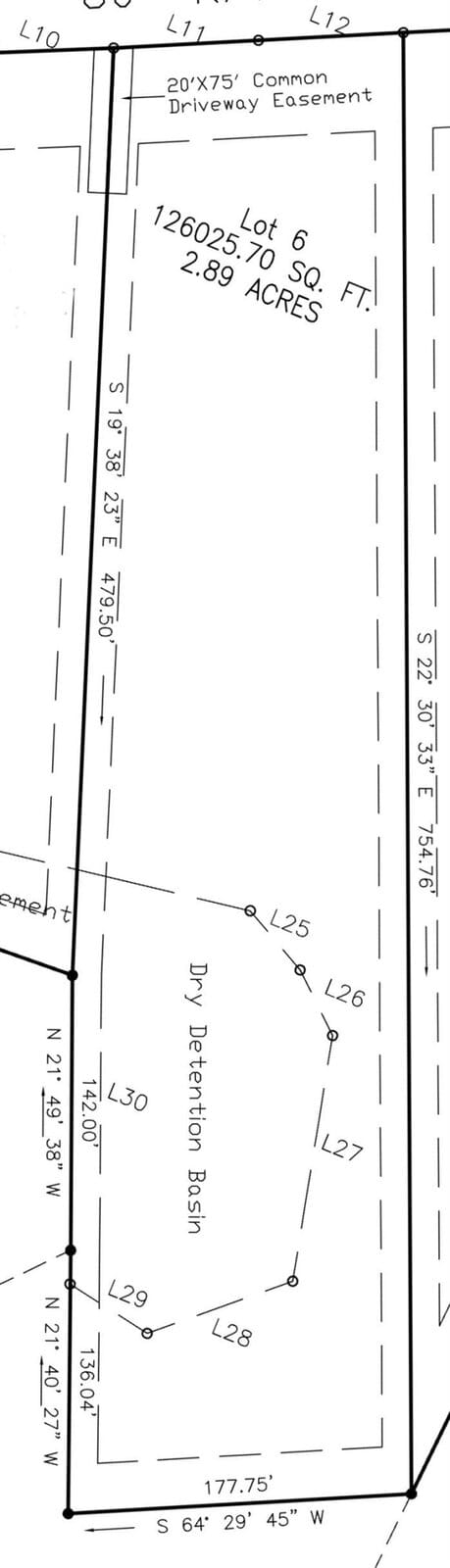 A land survey map detailing Lot 6 with an area of 126,029.70 square feet or 2.89 acres. Features include a 20x75 common driveway easement, dry retention basin, and boundary line coordinates.