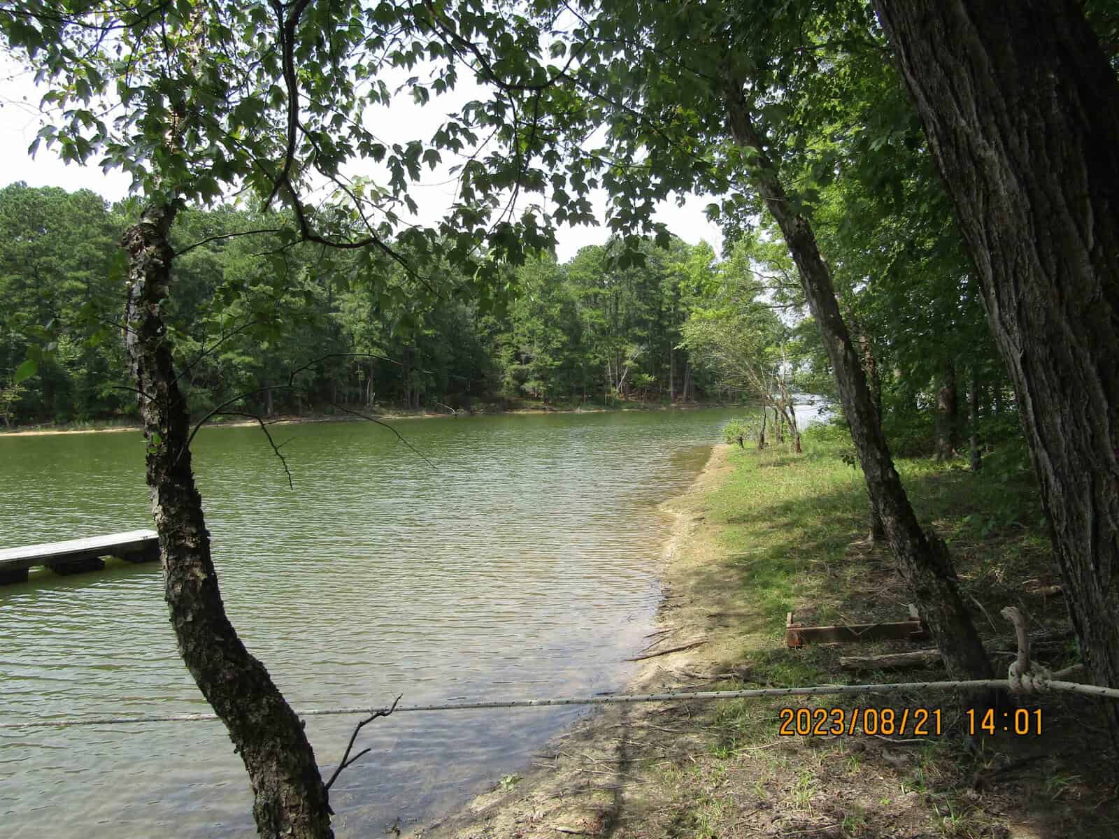A serene lake view with a small dock visible, surrounded by lush trees. a narrow sandy path runs along the shoreline. date and time stamp on the image shows "2023/08/21 14:01".