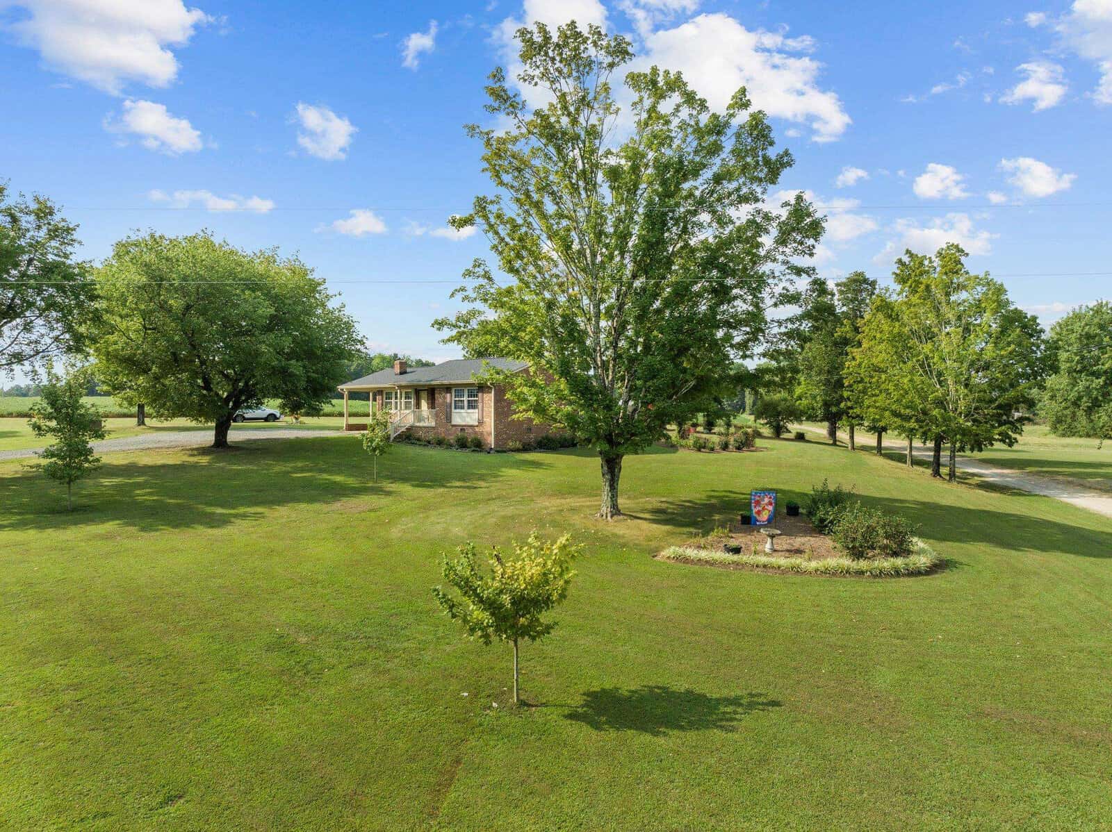 A large grassy yard with a single-story brick house in the background. Several trees, including one prominent in the center, are scattered across the lawn. A paved driveway is visible to the right under a blue sky with scattered clouds.