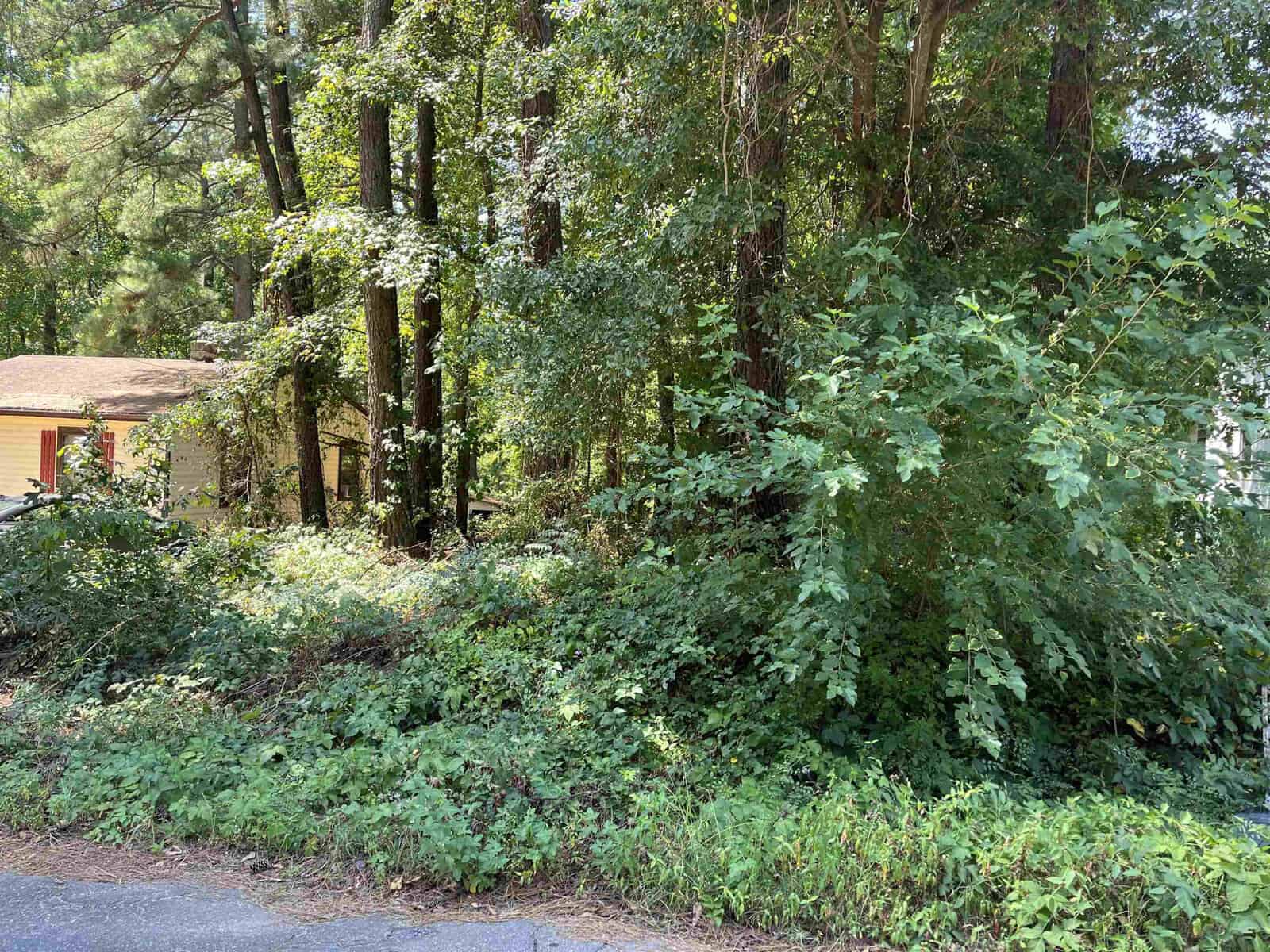 A residential street with green, leafy vegetation on the roadside and trees in the background with a glimpse of a house to the left.