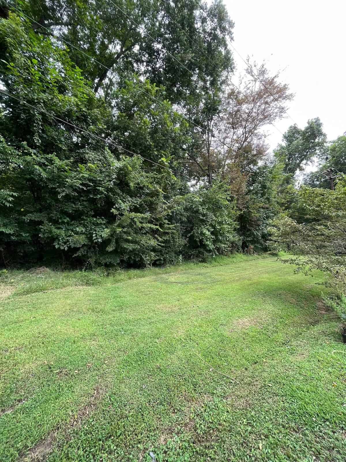 A lush green lawn at 0 Maple Street, bordered by dense, leafy trees under a bright, cloudy sky. The thick canopy of branches creates a serene and verdant woodland atmosphere reminiscent of Oxford's tranquil landscapes.