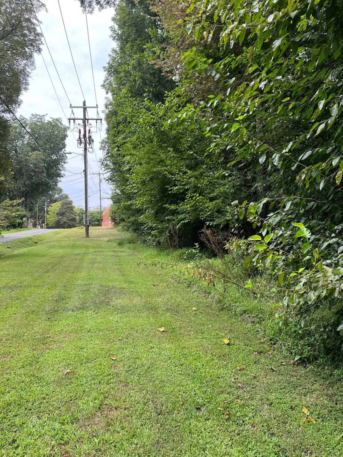 A grassy path with neatly trimmed edges runs alongside a line of tall green trees. On the left, power lines stretch into the distance, and a red building is partially visible under a cloudy sky.