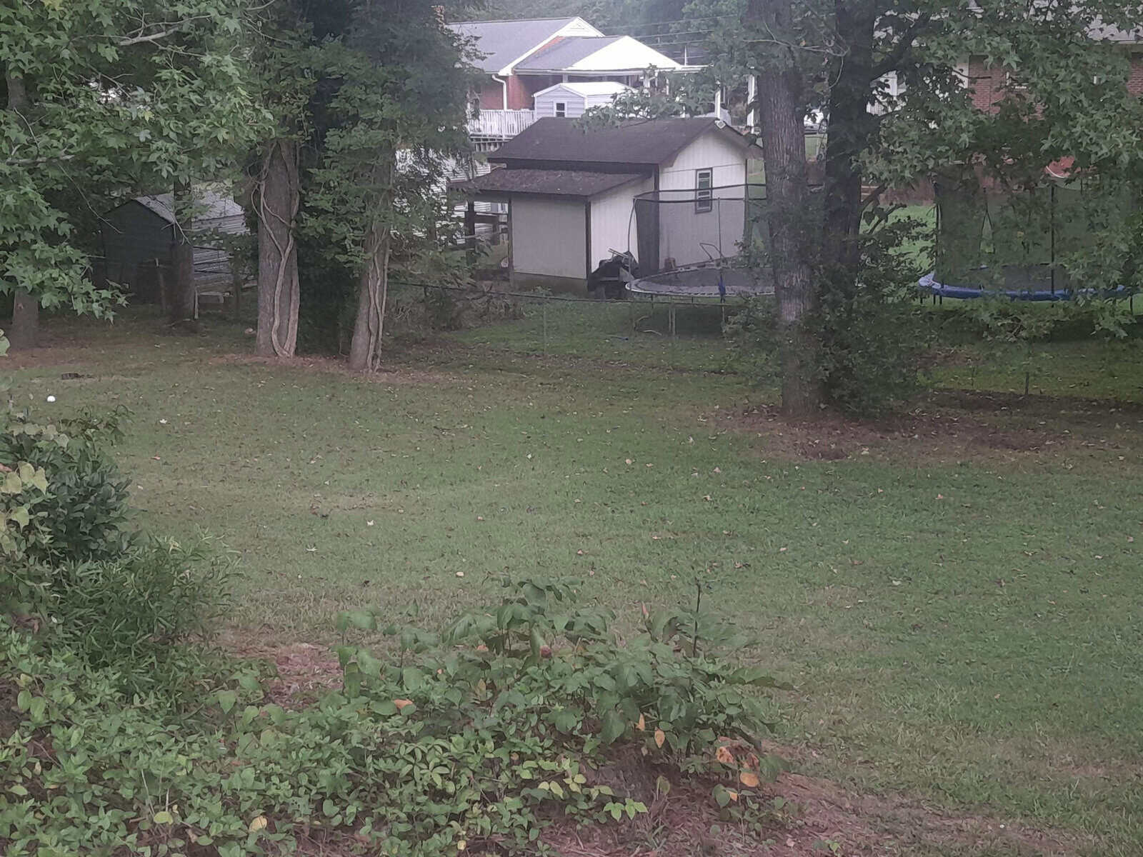 A residential backyard with a grassy lawn, several trees, and a trampoline, with a house and carport visible in the background.