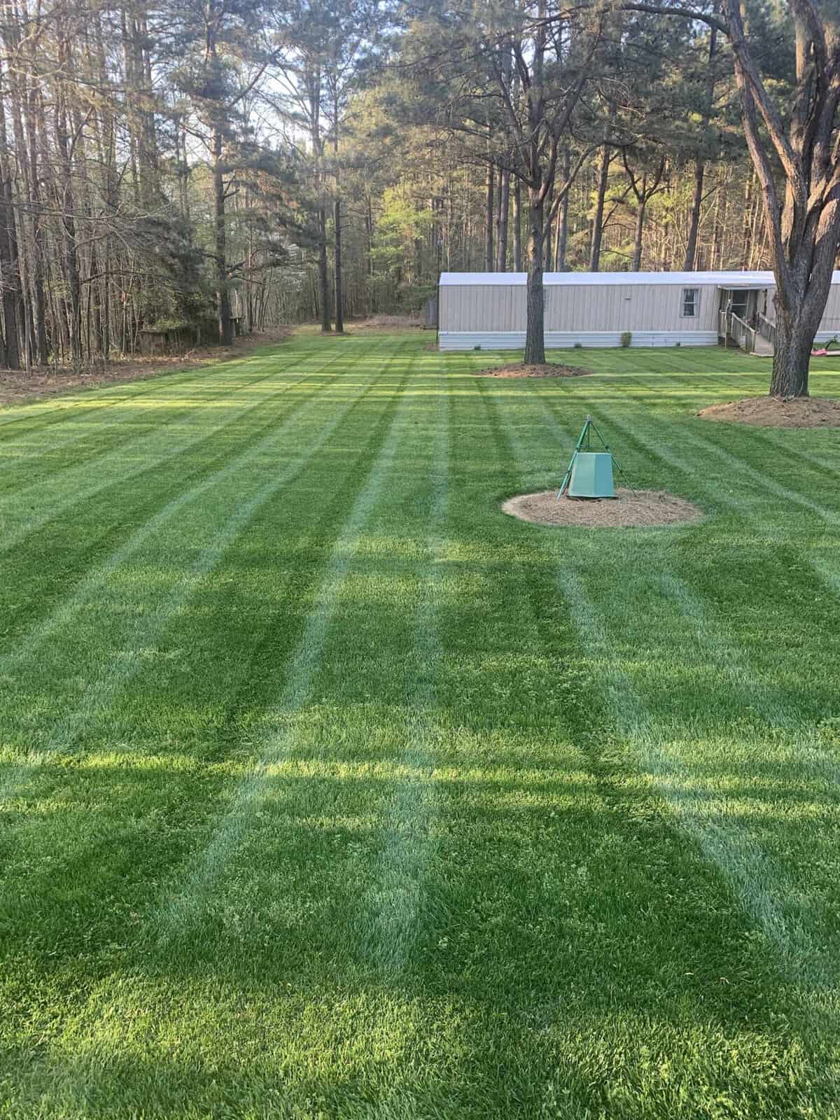 A neatly mowed lawn with visible stripes is surrounded by trees at 2126 Johnson Creek Farms, Oxford. In the distance, a white mobile home is partially visible. A circular mulch area with a green structure stands prominently in the middle of the lawn.