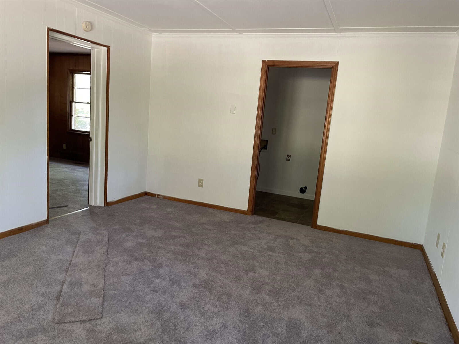 An empty room with beige carpeting, white walls, and an open doorway leading to an adjoining room.