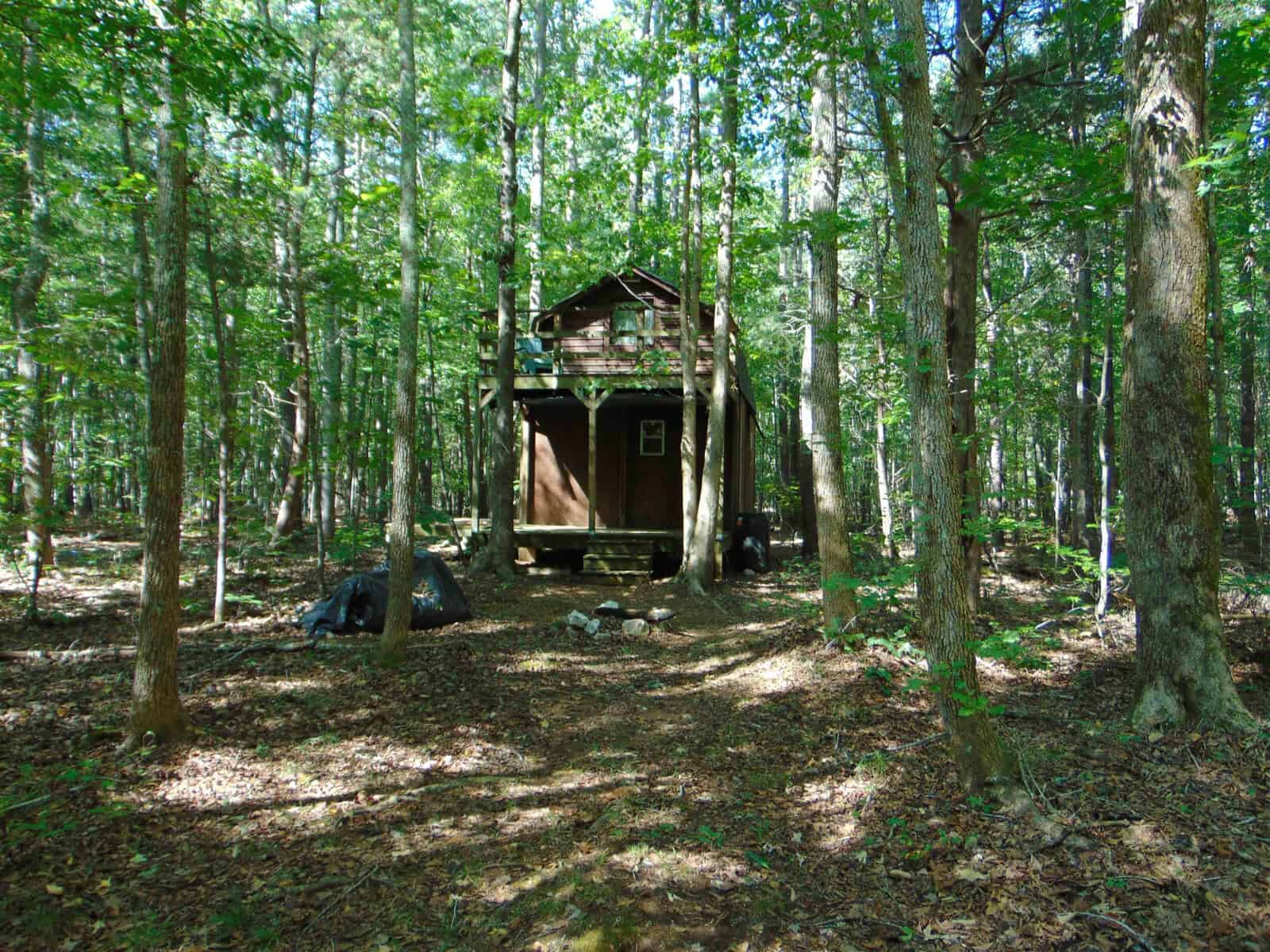 A small wooden cabin stands in the middle of a dense, sunlit forest near Noel Tuck Road in Oxford, surrounded by tall trees and scattered patches of shade on the forest floor.