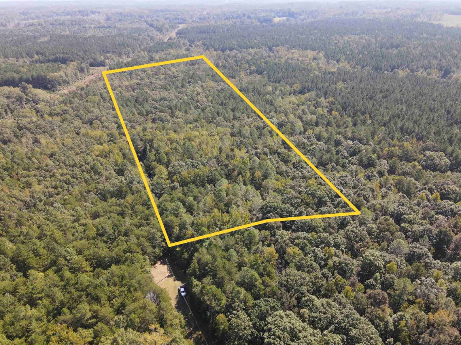 Aerial view of a densely wooded area with a rectangular plot of land outlined in yellow, surrounded by forest and dirt roads.