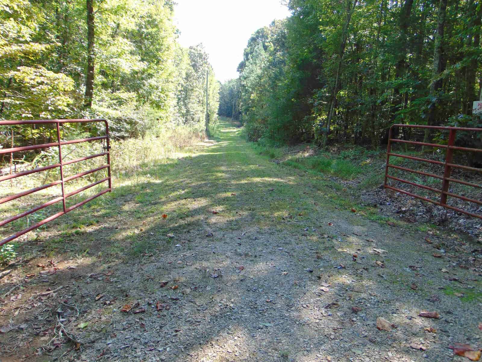 A gravel path passes between two open red metal gates, leading into a sunlit, tree-lined forest area with dense green foliage on both sides.