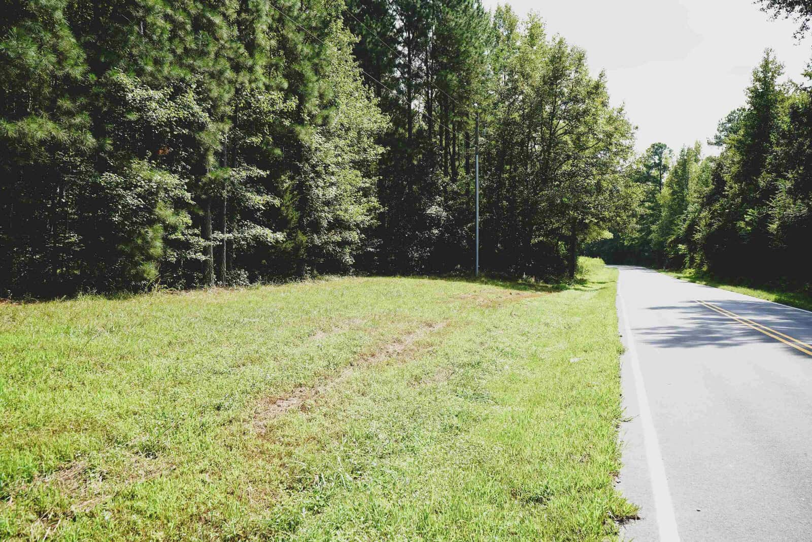A narrow, two-lane road curves gently to the right beside a grassy clearing. Dense green trees line the left side of the road, casting shadows across the grass. The sky is bright and sunny, illuminating the lush scenery.