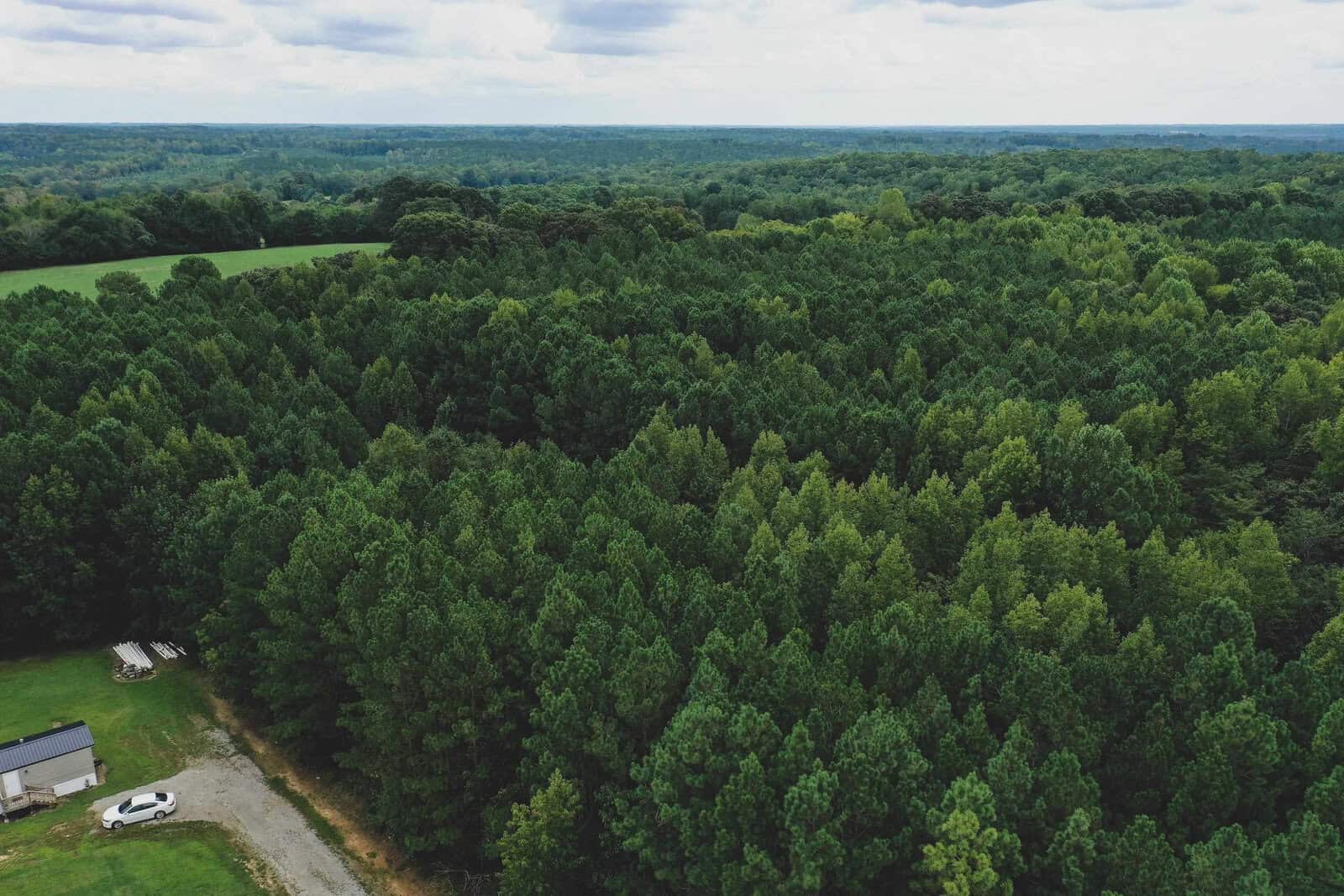 Aerial view of a dense forest with diverse shades of green trees extending to the horizon. A white vehicle is parked near a small building with a gray roof on a clearing in the lower left corner. The sky above is partly cloudy.