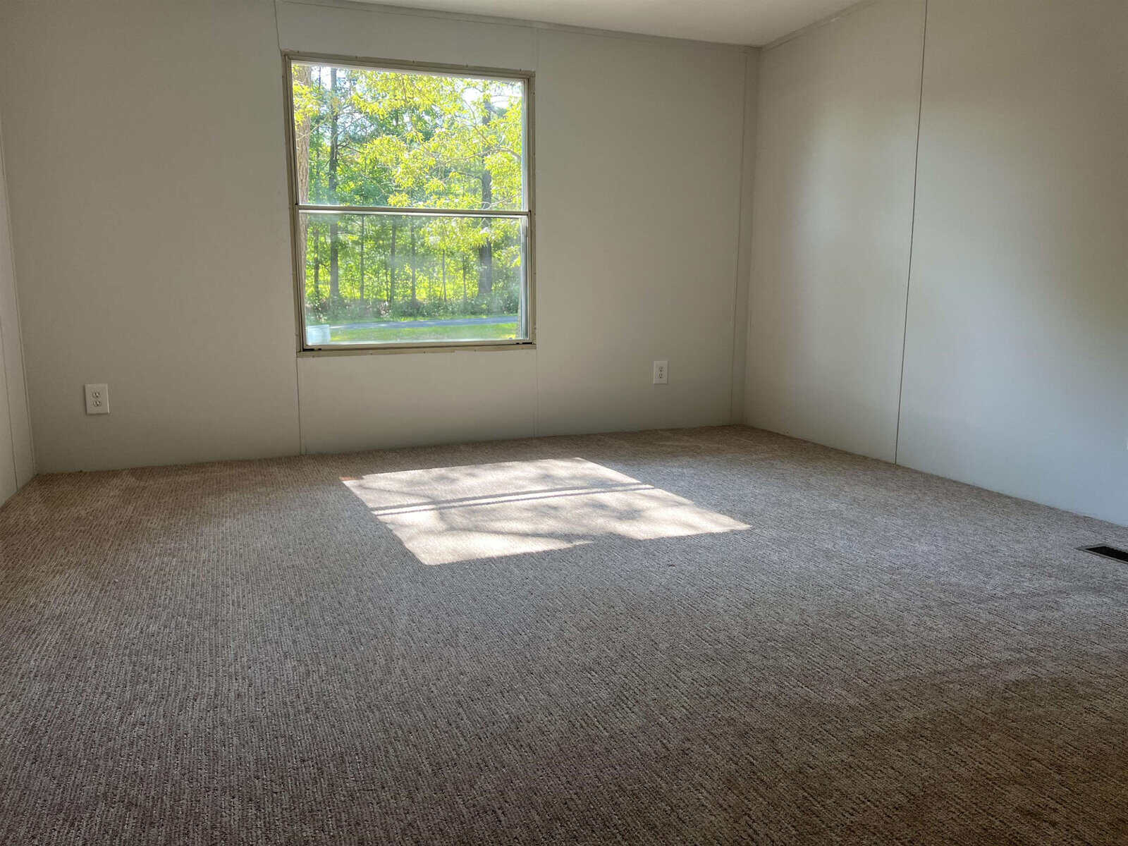 An empty room with beige carpet, white walls, and a single window showing a view of trees with sunlight casting shadows on the floor.