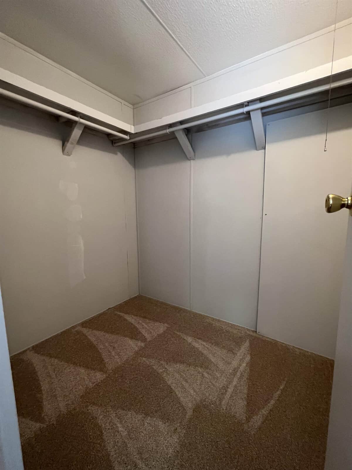 An empty closet with beige carpeting and white walls featuring a built-in shelf and hanging rod system.