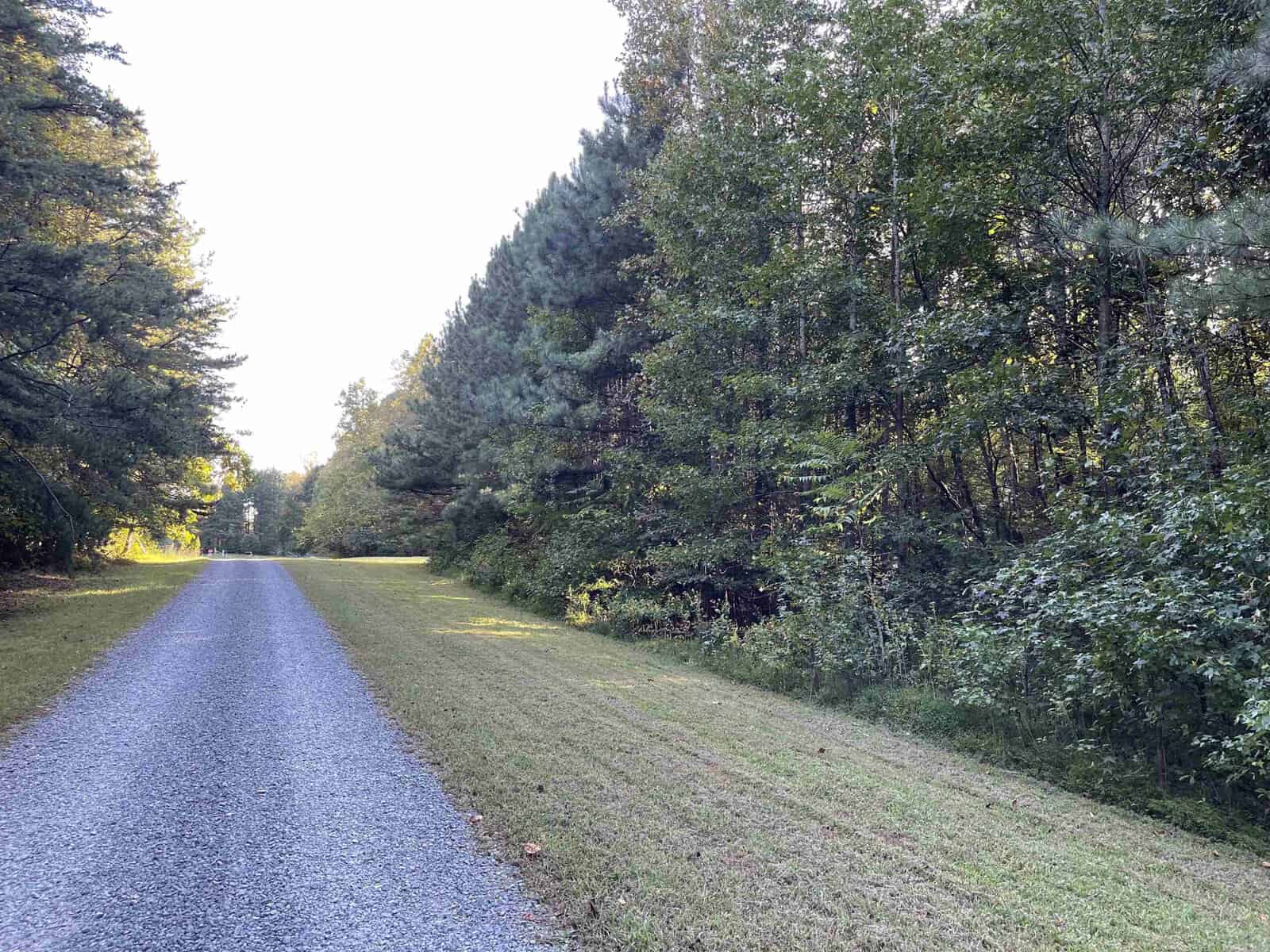 A gravel path runs through a forested area, bordered by lush green trees on both sides. The sun illuminates part of the scene, casting light on the path and some tree leaves, creating a tranquil and inviting atmosphere.