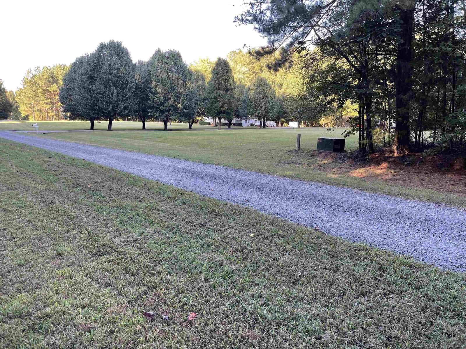 A long gravel driveway curves through a grassy field lined with evenly spaced trees. The grass is neatly mowed, and a few trees display early autumn colors. Sunlight filters through, casting gentle shadows on the ground.
