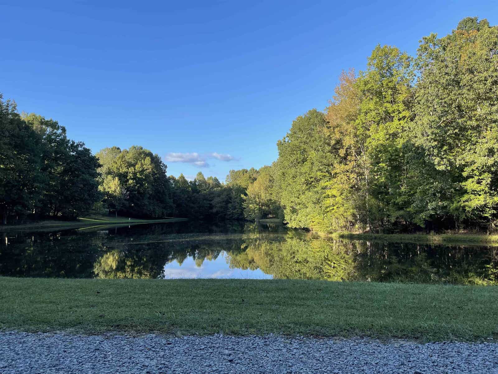 A serene lake reflects the surrounding lush green trees under a clear blue sky. The gravel path in the foreground leads to the calm water, enhancing the peaceful nature scene.