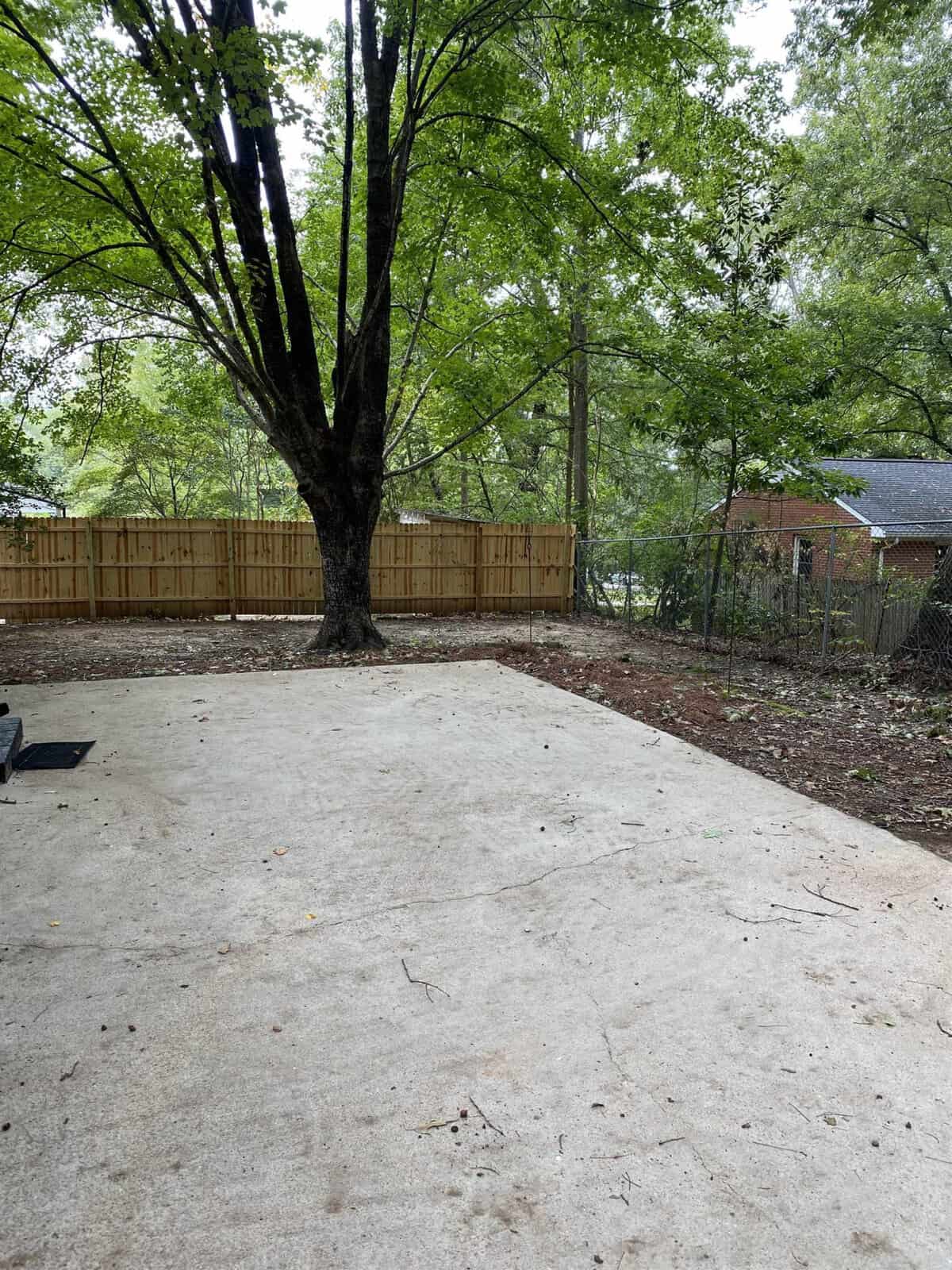 A concrete backyard area with a large tree in the center, surrounded by a wooden fence and lush green foliage, possibly in a residential setting.