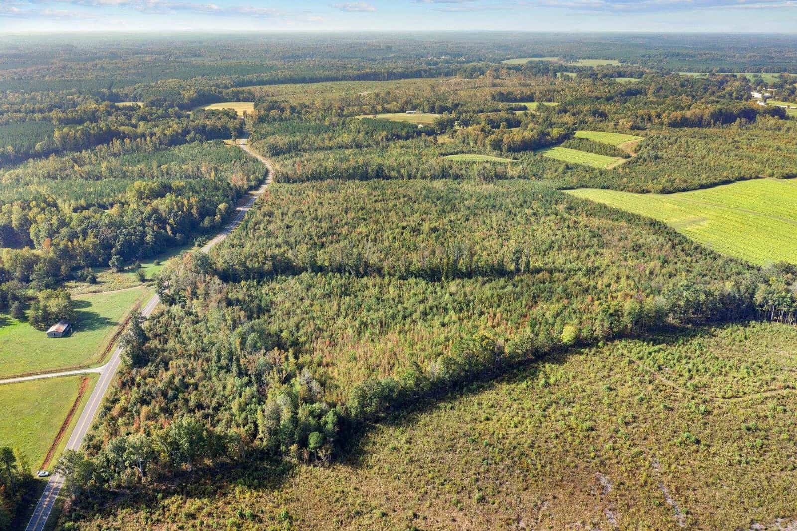 Aerial view of a vast landscape featuring dense forests and fields under a clear sky. A winding road cuts through the greenery, with patches of farmland and open areas scattered throughout.