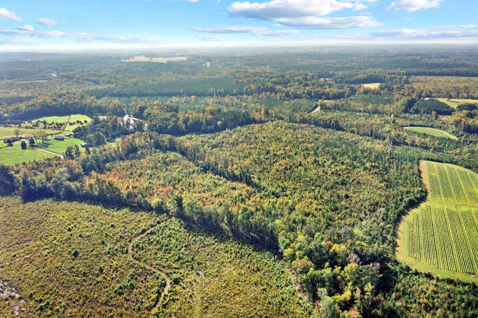 Aerial view of a vast landscape with dense green and partially autumn-colored forests. A few open fields and small patches of farmland are visible under a blue sky with scattered clouds.