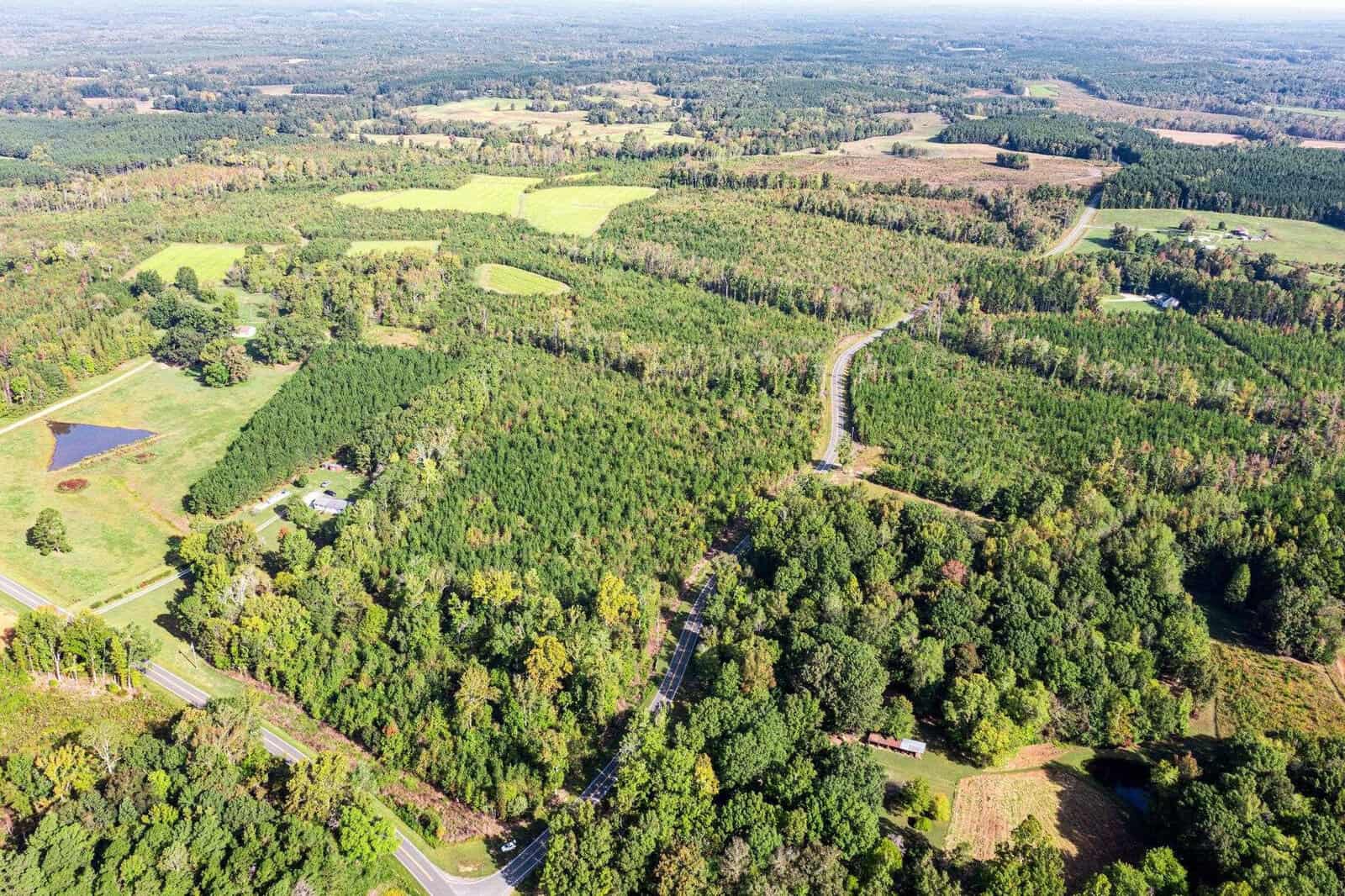 Aerial view of a vast landscape with dense forests, open fields, and winding roads. There are patches of brighter green indicating cultivated areas and a small pond on the left. The horizon shows a blend of trees and open fields under a clear sky.