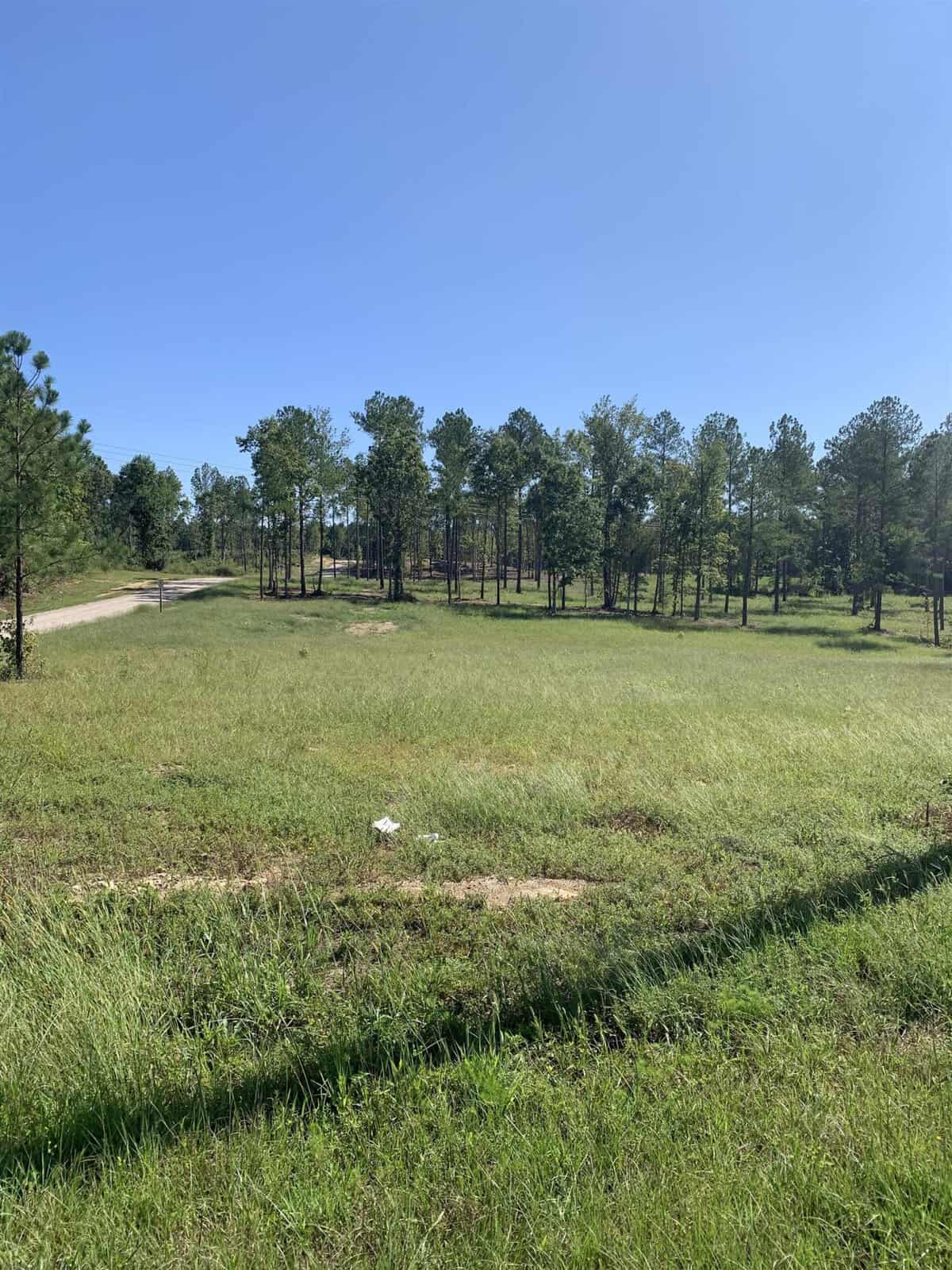 A sunny landscape featuring a grassy field with scattered trees under a clear blue sky, with a narrow winding road visible on the left at 0 Dr Finch Road, Henderson NC.