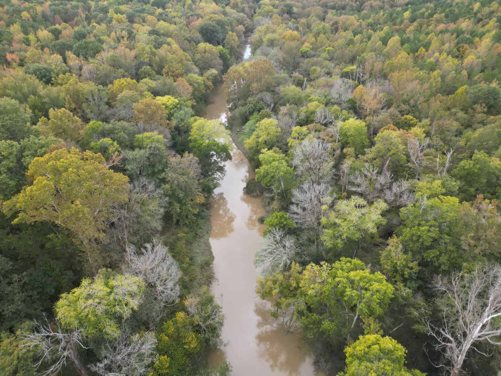 Aerial view of a river winding through a dense forest near Kittrell with green trees and some bare branches. The water appears brown, indicating possible sediment or dirt. The surrounding area near Egypt Mountain Road is lush and verdant, creating a natural, serene landscape.