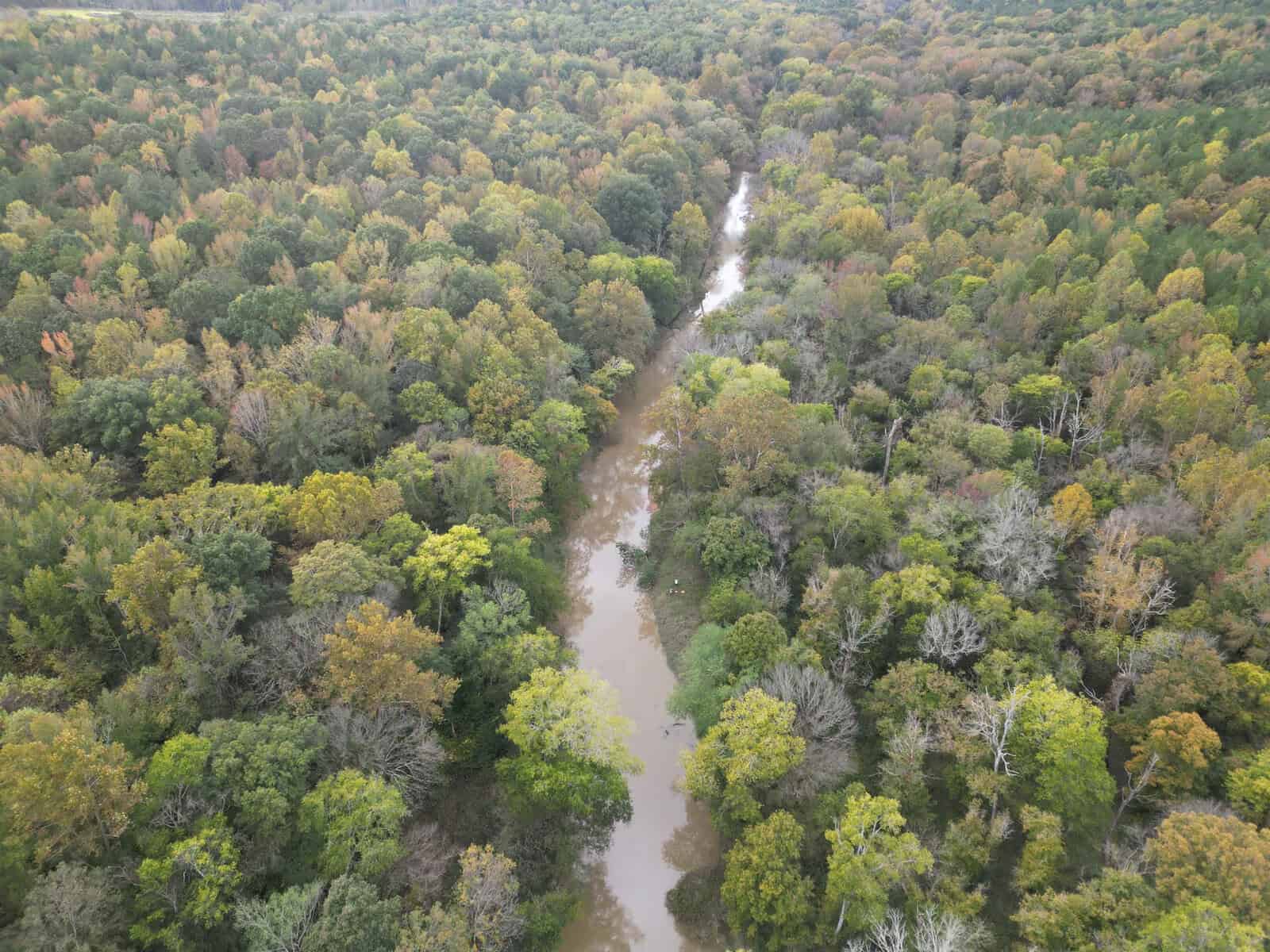 Aerial view of a narrow river winding through a dense forest with trees showing various shades of green and brown, indicating a mix of deciduous and evergreen foliage. The river appears muddy, reflecting the overcast sky above.