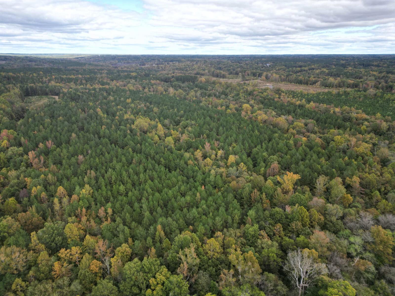 Aerial view of a dense forest extending towards the horizon with a mix of evergreen and deciduous trees, showcasing a variety of green shades. The sky above is cloudy, with patches of blue sky peeking through. The landscape exhibits some autumn foliage.