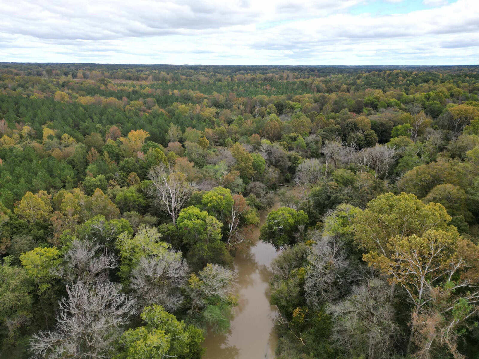 Aerial view of a dense, green forest with a winding river running through it. The forest has a mix of deciduous and evergreen trees, some with autumn foliage. The sky above is cloudy with a hint of blue.