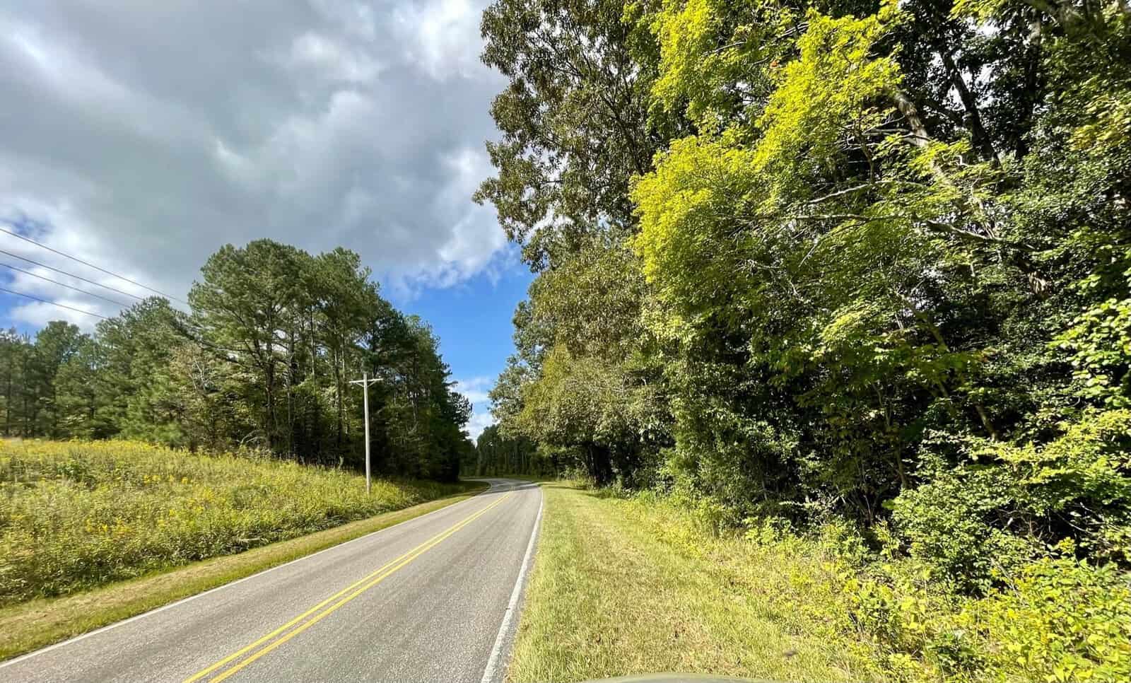 A country road curves through a lush, green forest under a partly cloudy sky. Tall trees with vibrant foliage line the road, and patches of grass and wildflowers grow along the roadside, creating a peaceful scenic view.