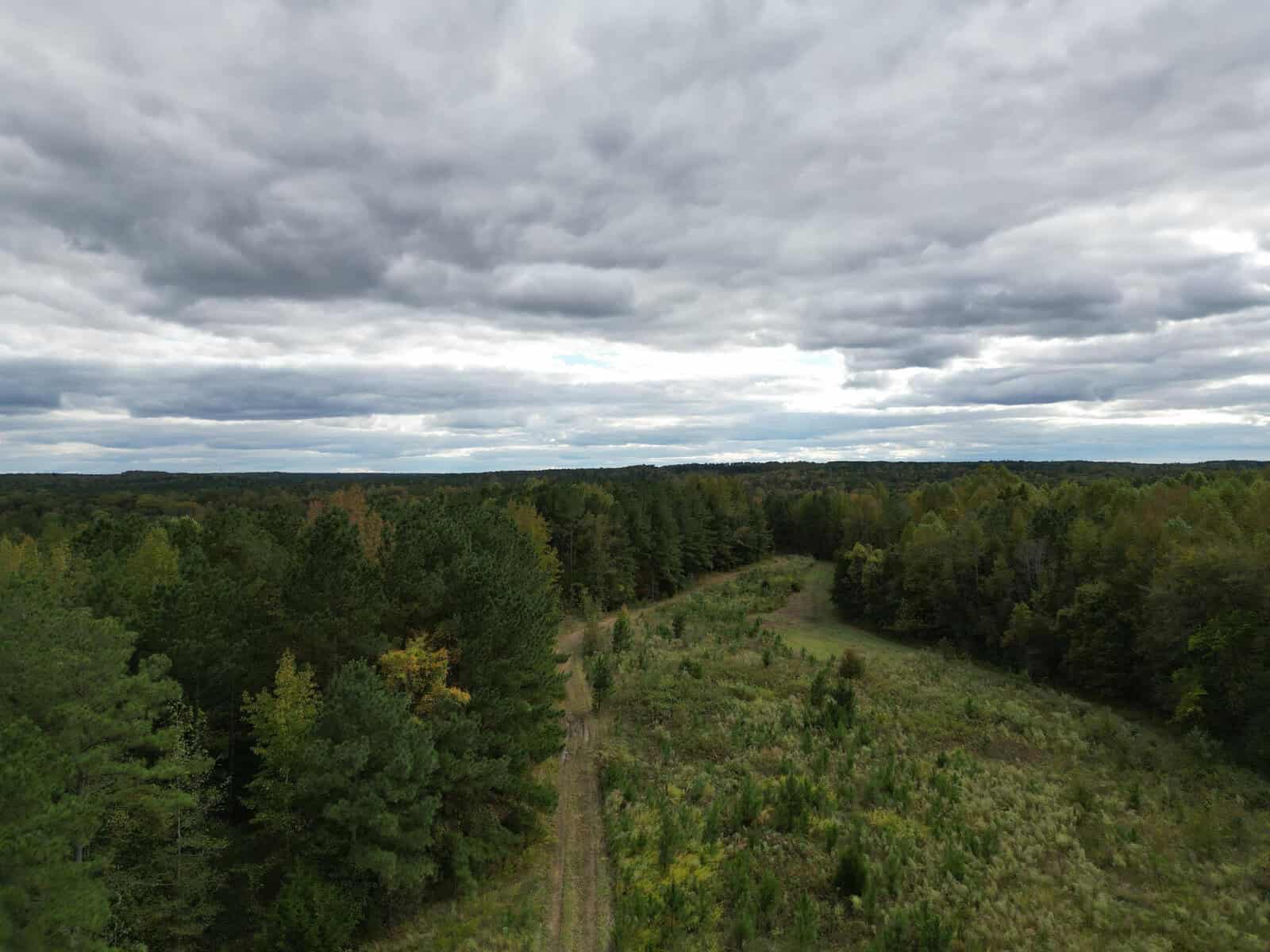 Aerial view of a dirt path cutting through a mixed forest and meadow landscape under a cloudy sky. Dense green trees surround the open grassy area, and the horizon stretches into the distance with rolling hills. The atmosphere is moody with overcast clouds.