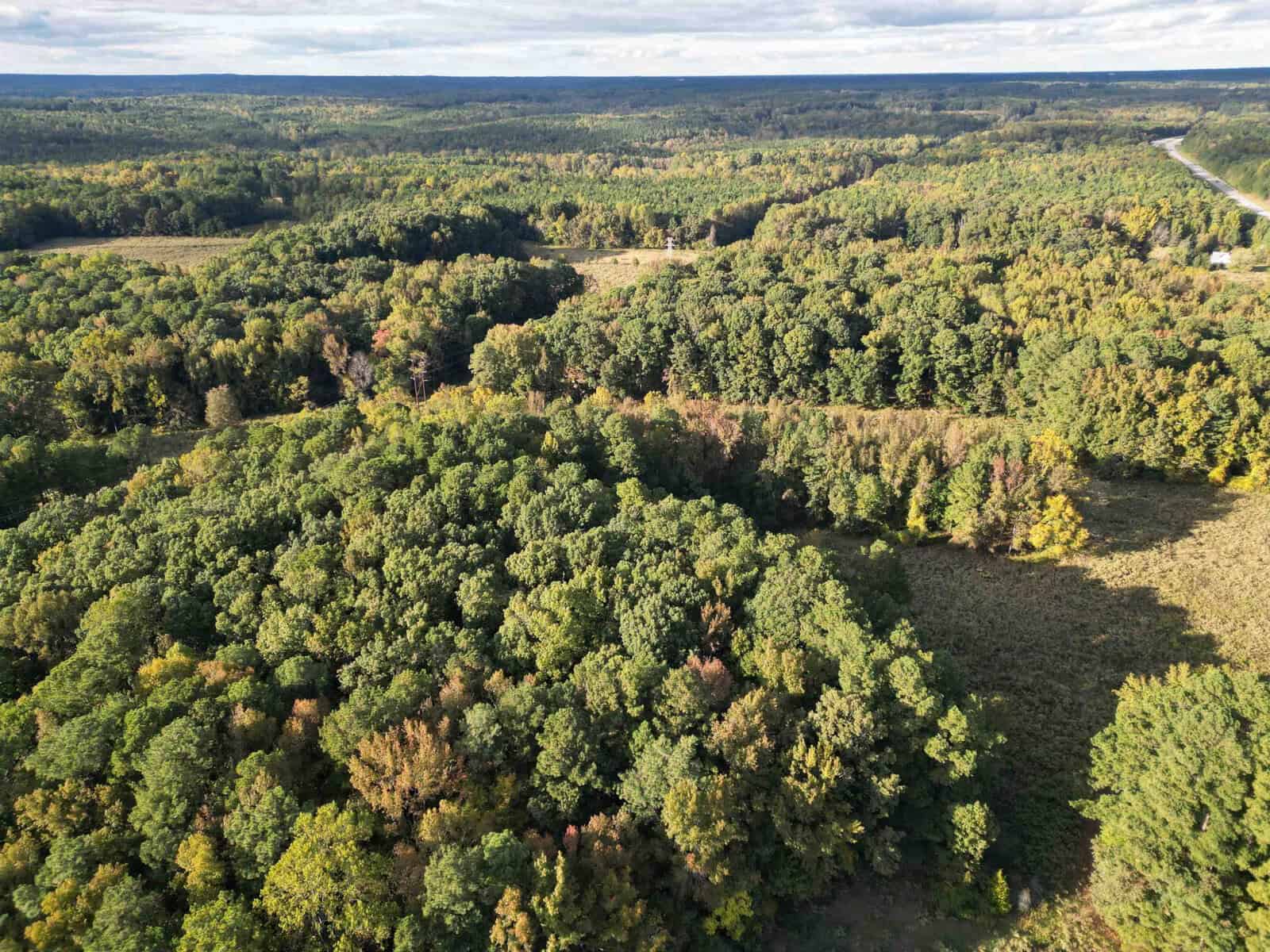 Aerial view of a vast forested landscape with dense, green trees and patches of clearings. A narrow road can be seen winding through the right side of the image. The sky is partly cloudy, casting soft shadows over the landscape below.