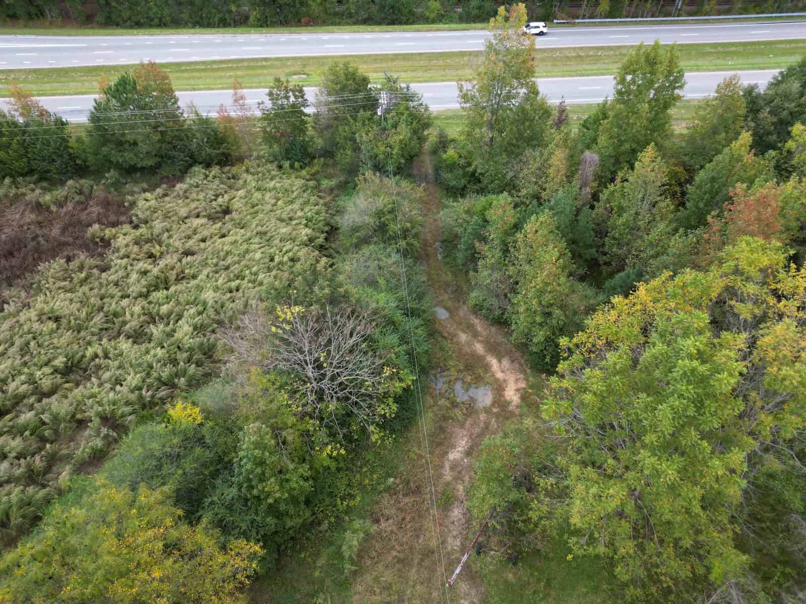 Aerial view of a wooded area with dense foliage, including trees and tall grasses, adjacent to a highway with multiple lanes. A single white vehicle is visible on the highway. A narrow dirt path can also be seen cutting through the vegetation.