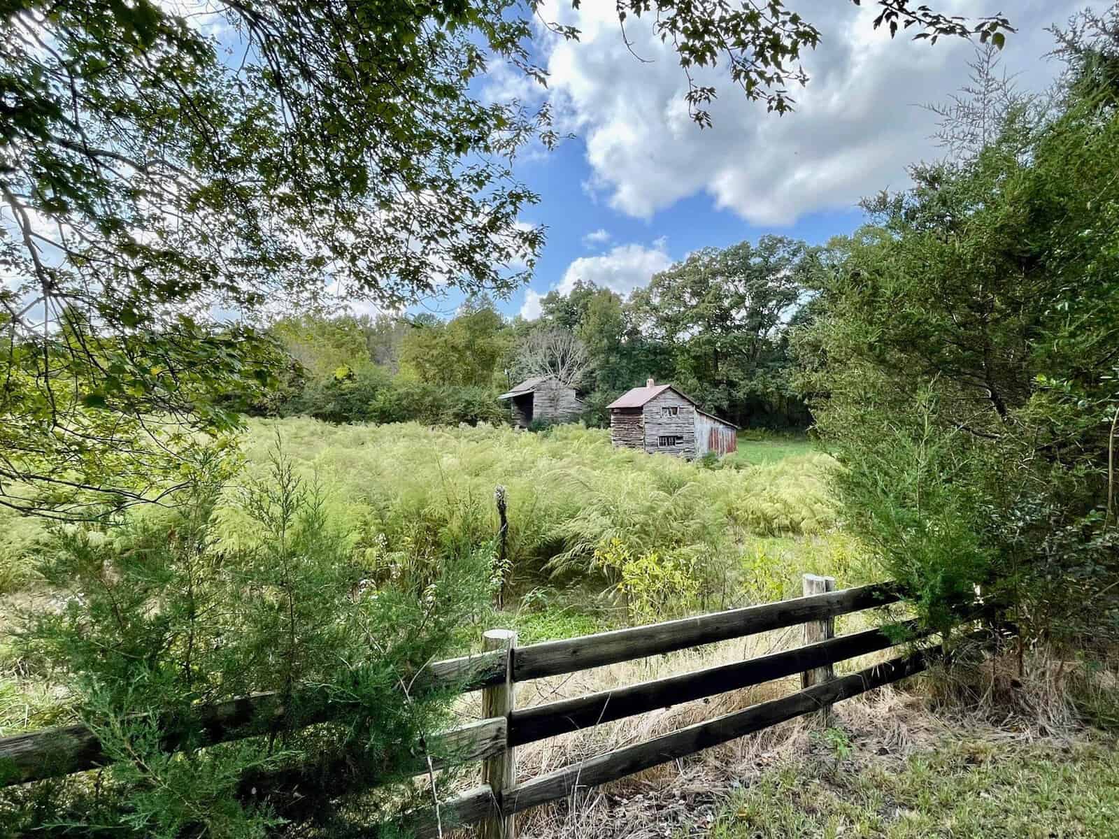 A rustic scene shows two dilapidated barns amidst overgrown greenery and tall ferns. The foreground includes a wooden fence and leafy trees framing the view. The sky above is partially cloudy, casting a mix of sunlight and shade over the pastoral landscape.